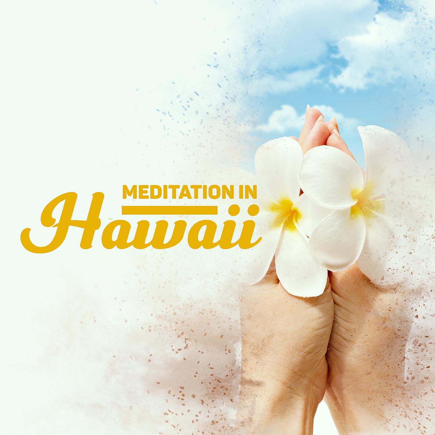 Постер альбома Meditation in Hawaii: Ukulele Positive Vibes, Summer Time, Waves Sounds, Good Feeling