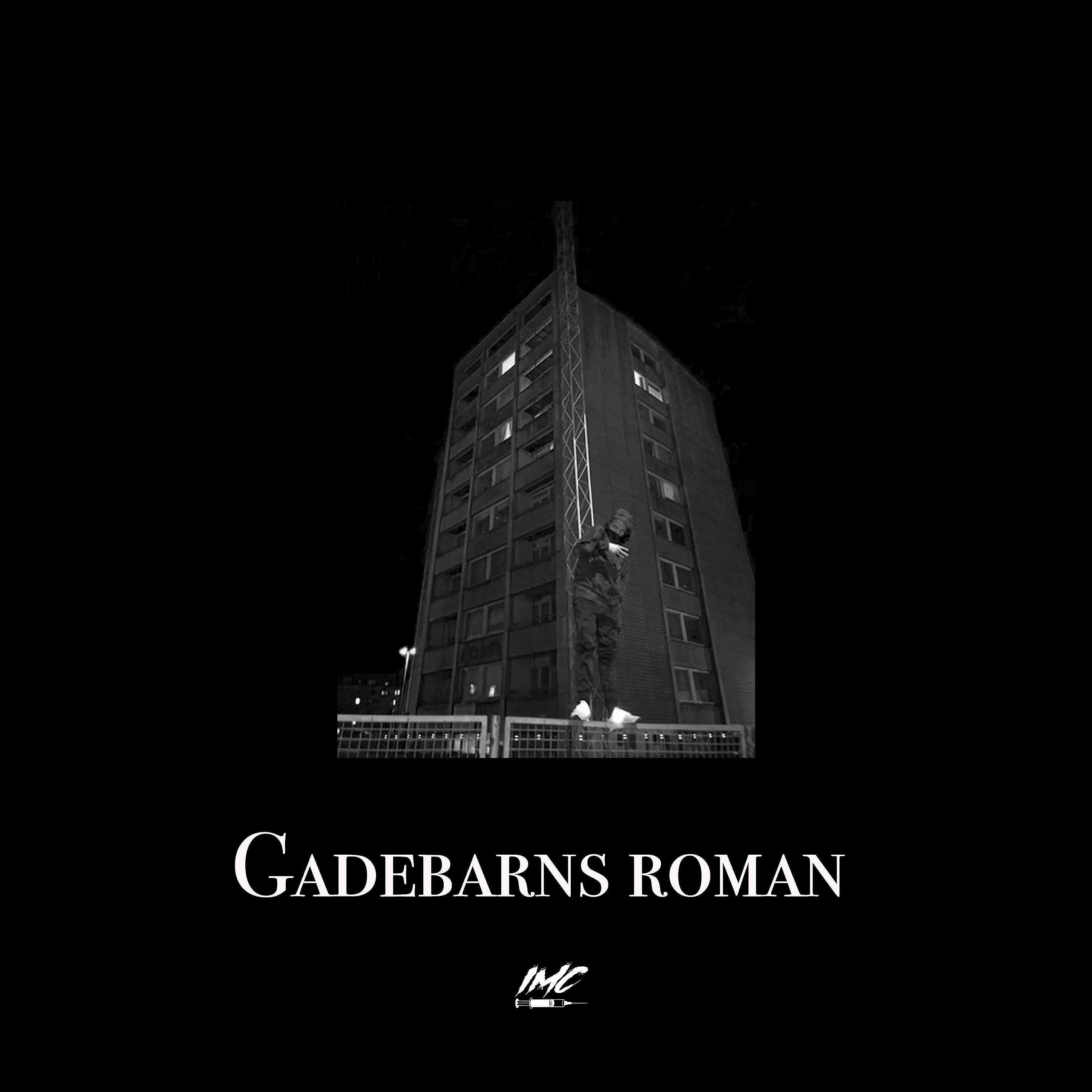 Постер альбома Gadebarns Roman