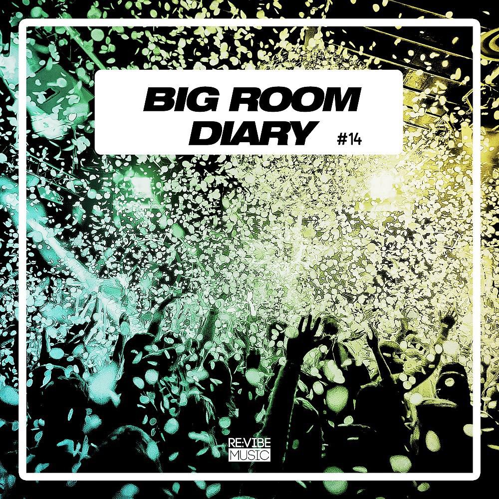 Постер альбома Big Room Diary, Vol. 14