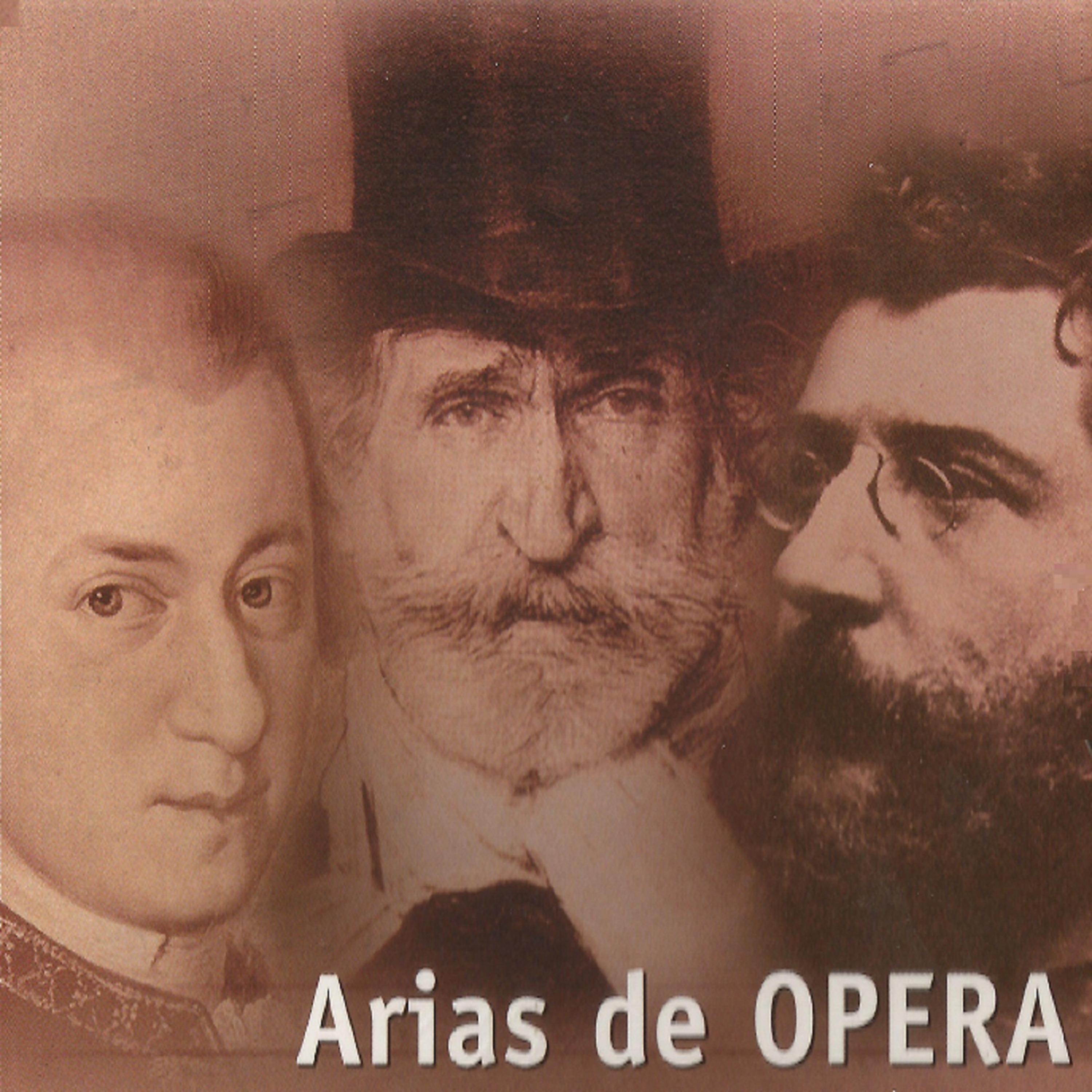 Постер альбома Arias de Ópera