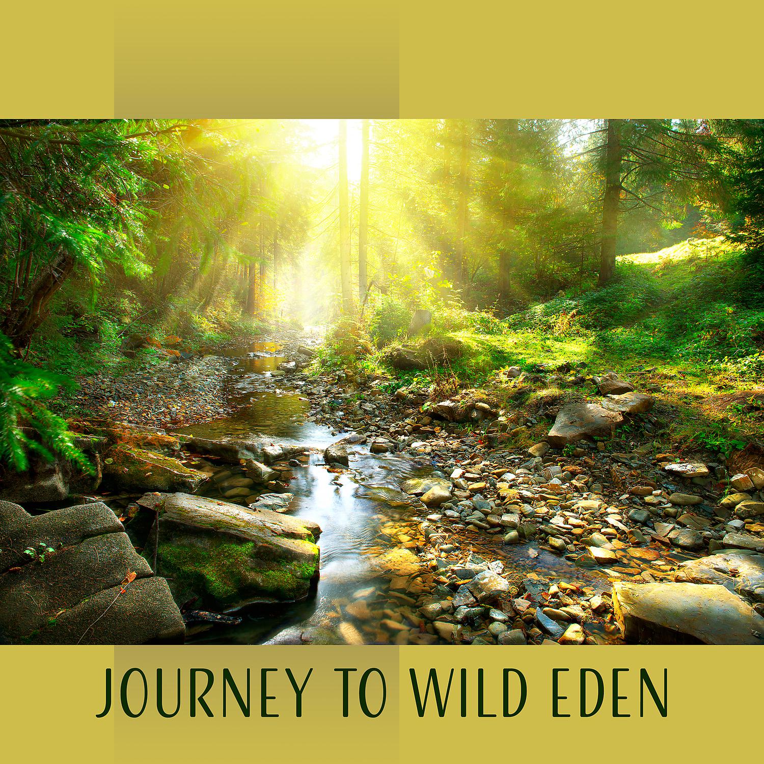 Постер альбома Journey to Wild Eden: Sounds of Nature (Birds, River, Waves, Mosquitoes, Babbling Brook)