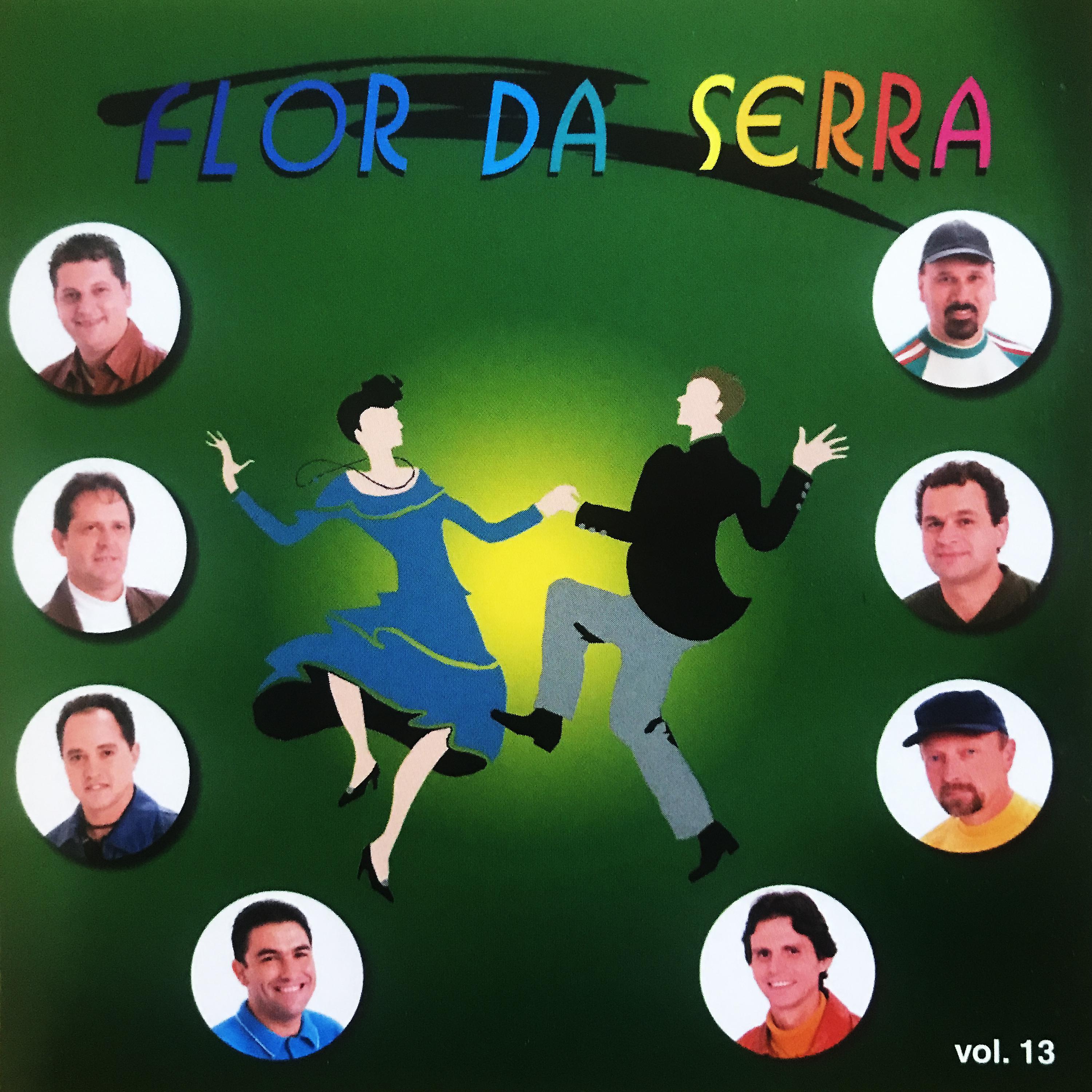 Постер альбома Os Reis do Arrasta Pé, Vol. 13