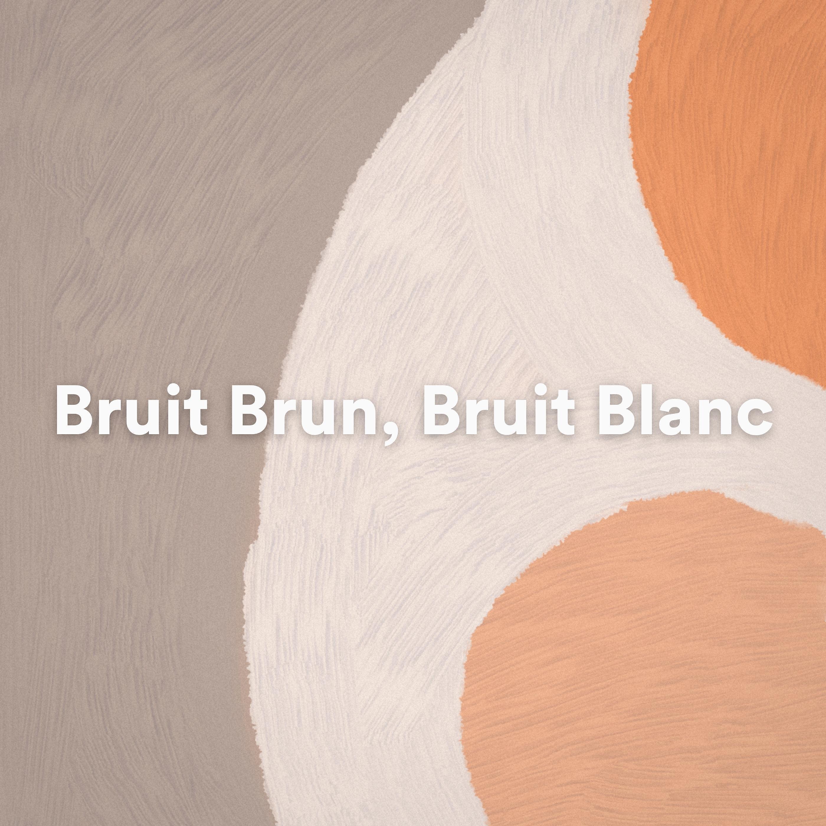 Постер альбома Bruit Brun, Bruit Blanc