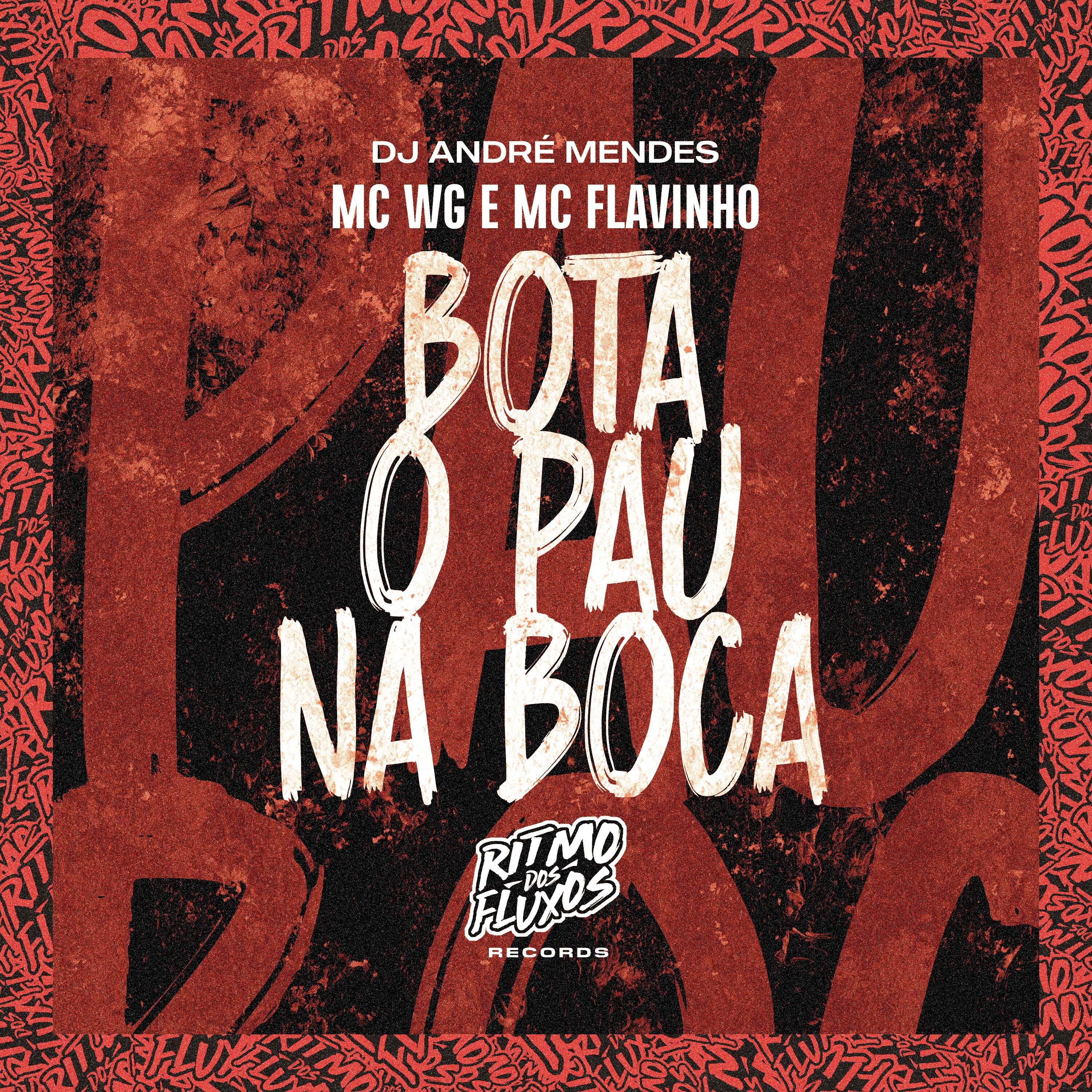 Постер альбома Bota o Pau na Boca
