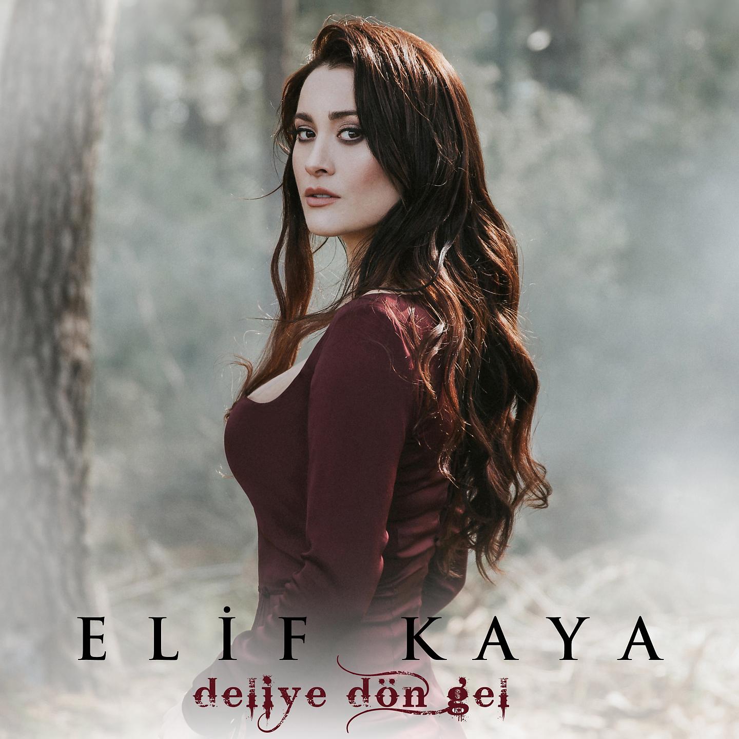 Постер альбома Deliye Dön Gel