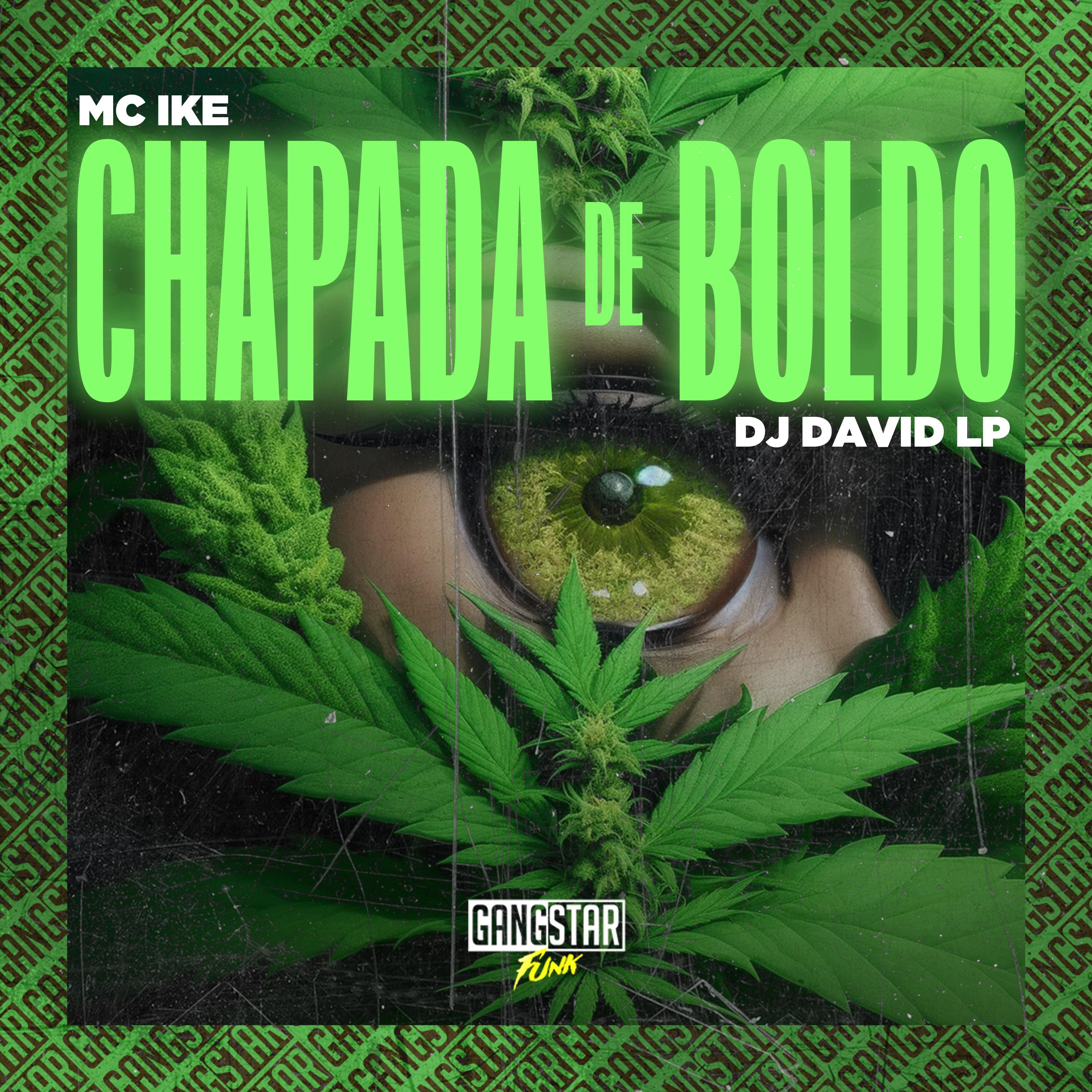 Постер альбома Chapada de Boldo