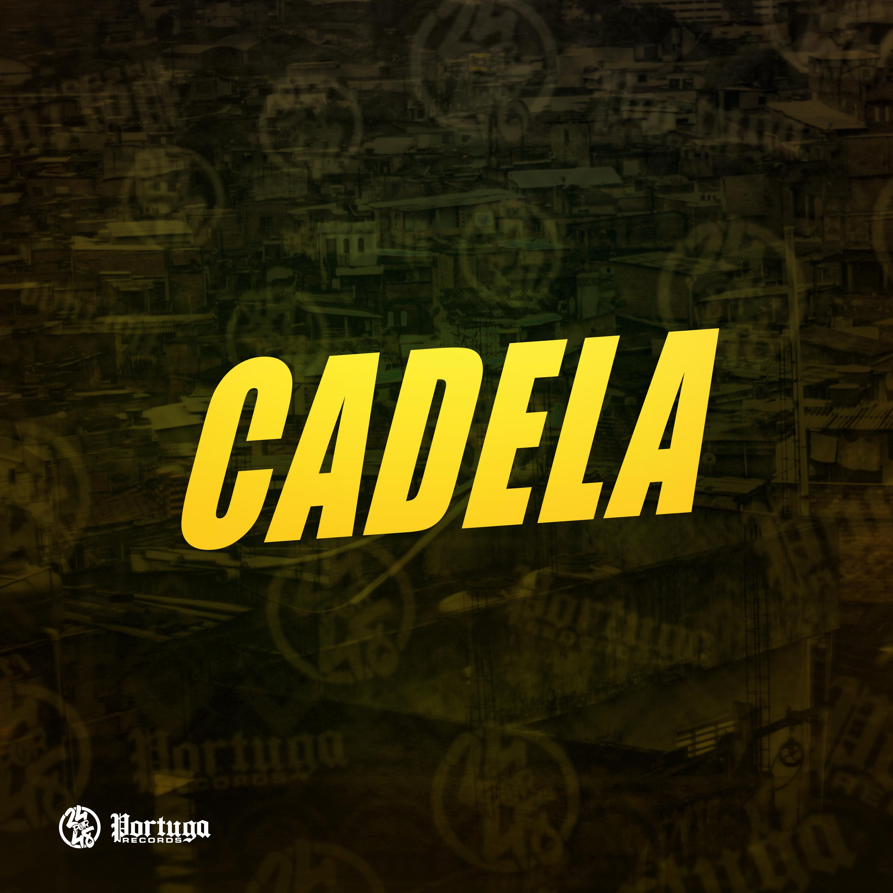 Постер альбома Cadela