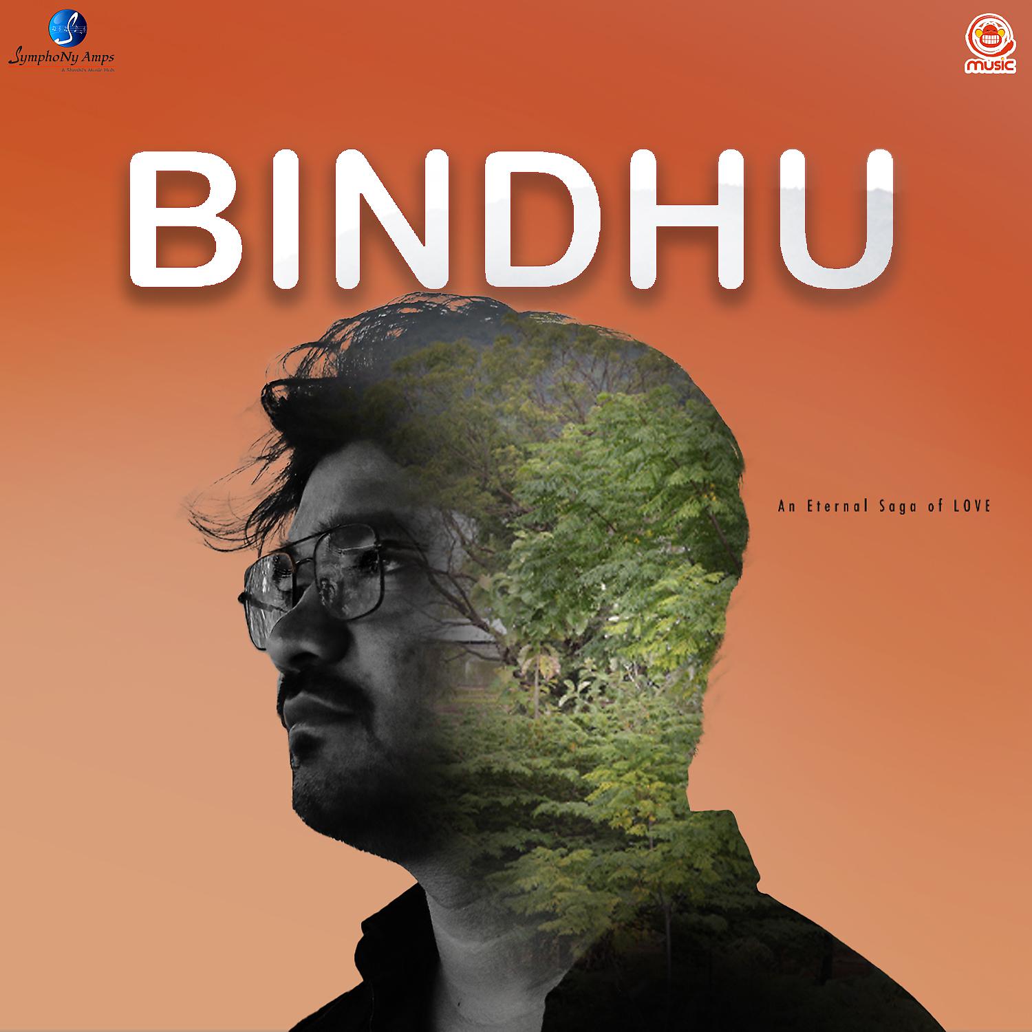 Постер альбома Bindhu