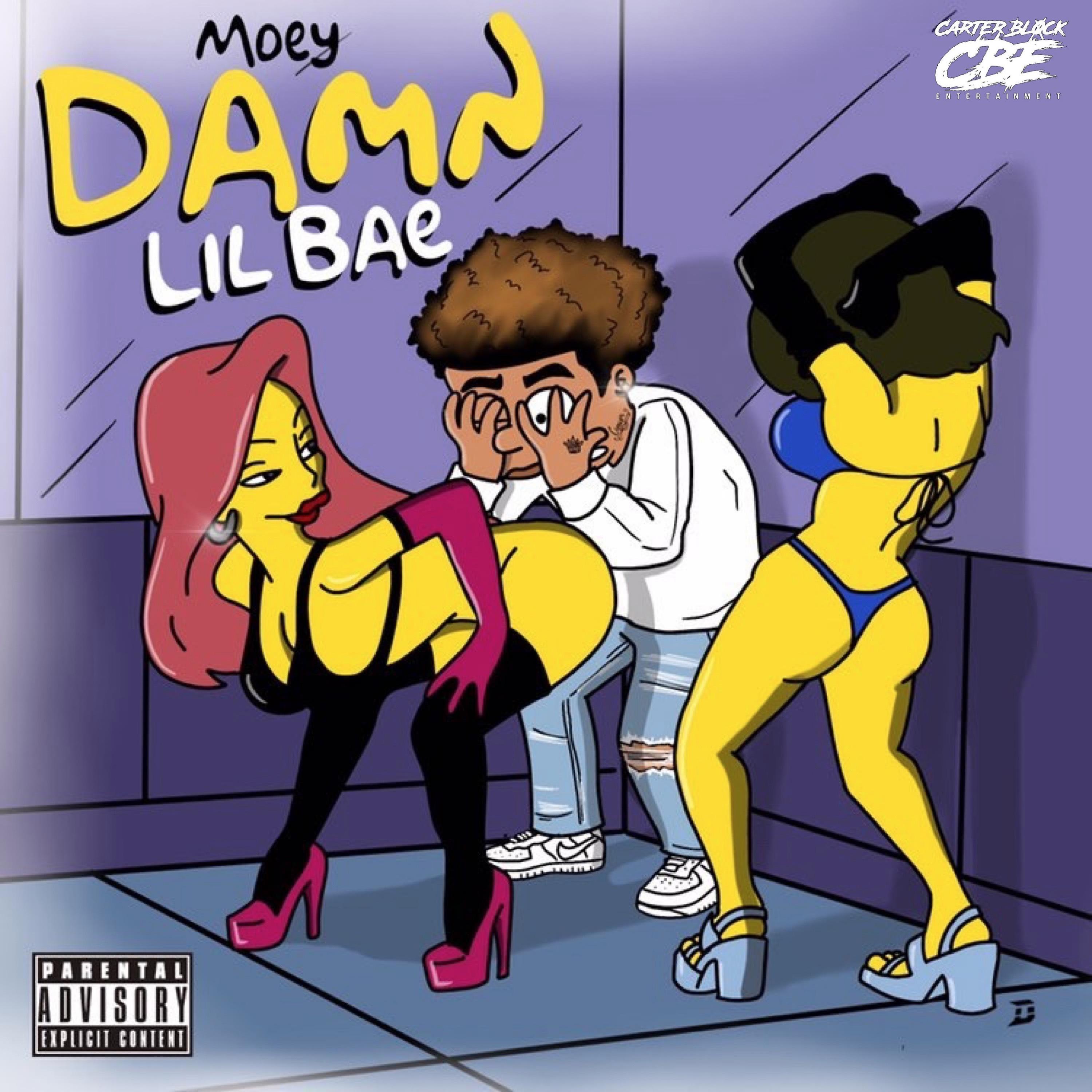 Постер альбома Damn Lil Bae