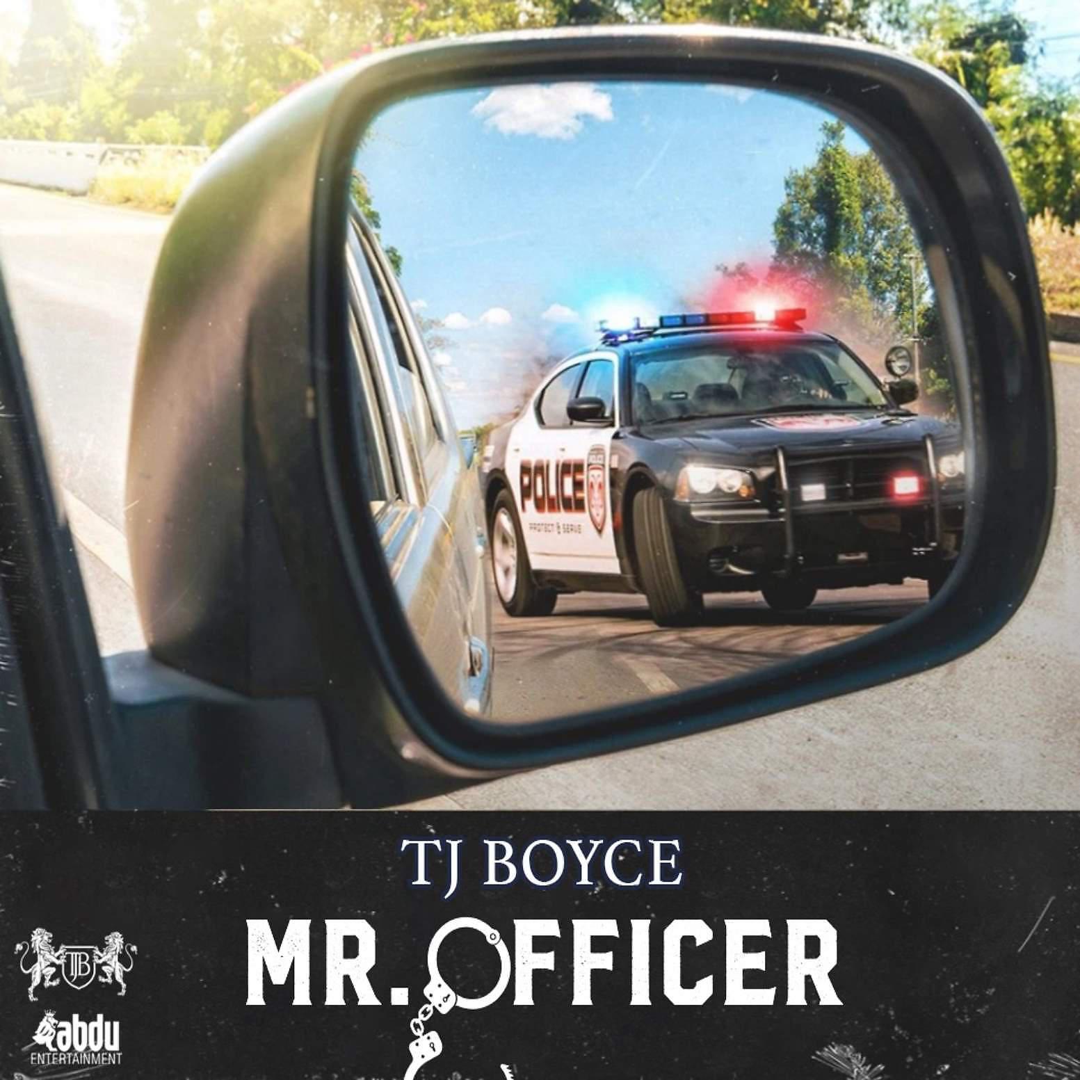Постер альбома Mr. Officer (Remix)