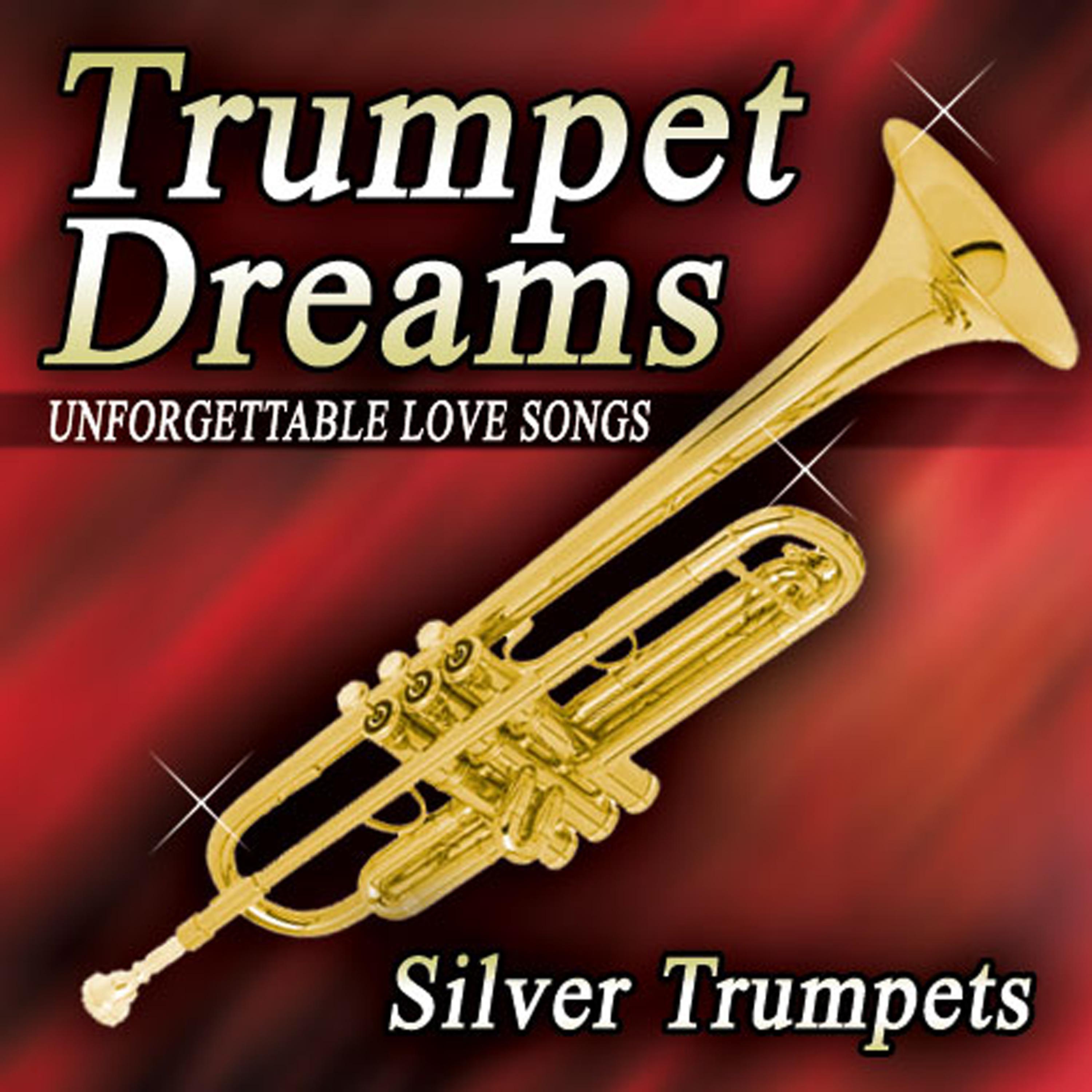 Постер альбома Trumpet Dreams