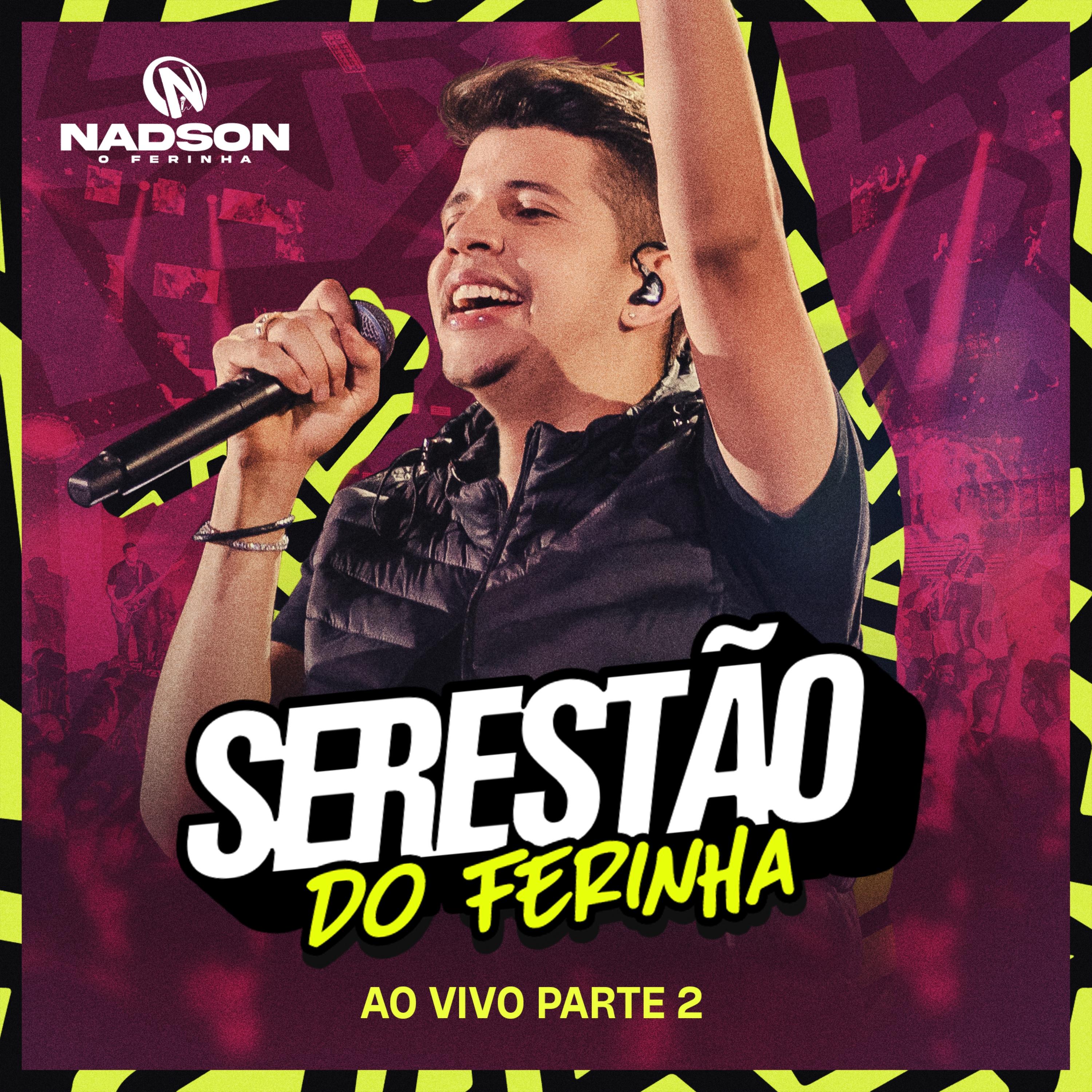 Постер альбома Serestão do Ferinha, Pt. II