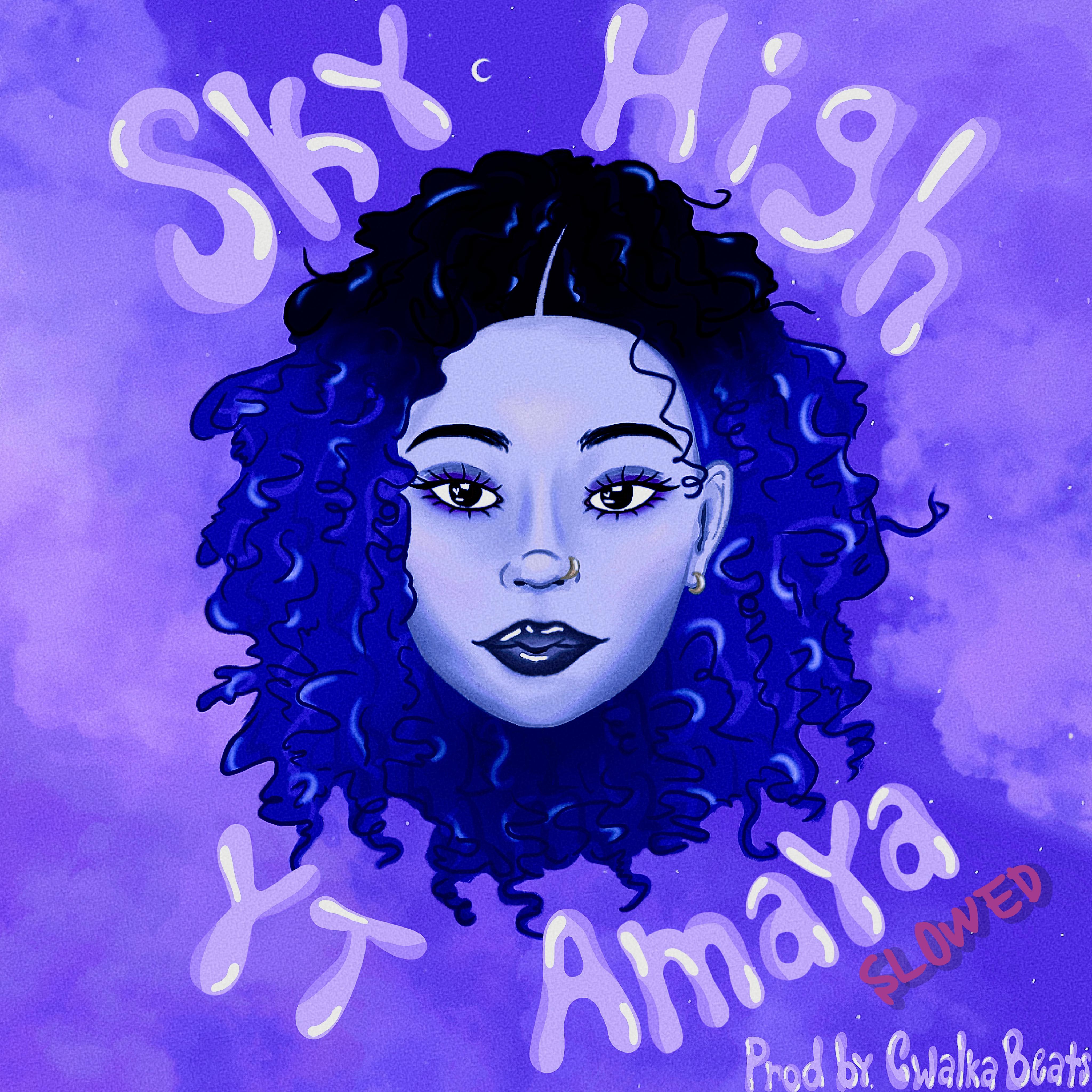 Постер альбома Sky High (Slowed)