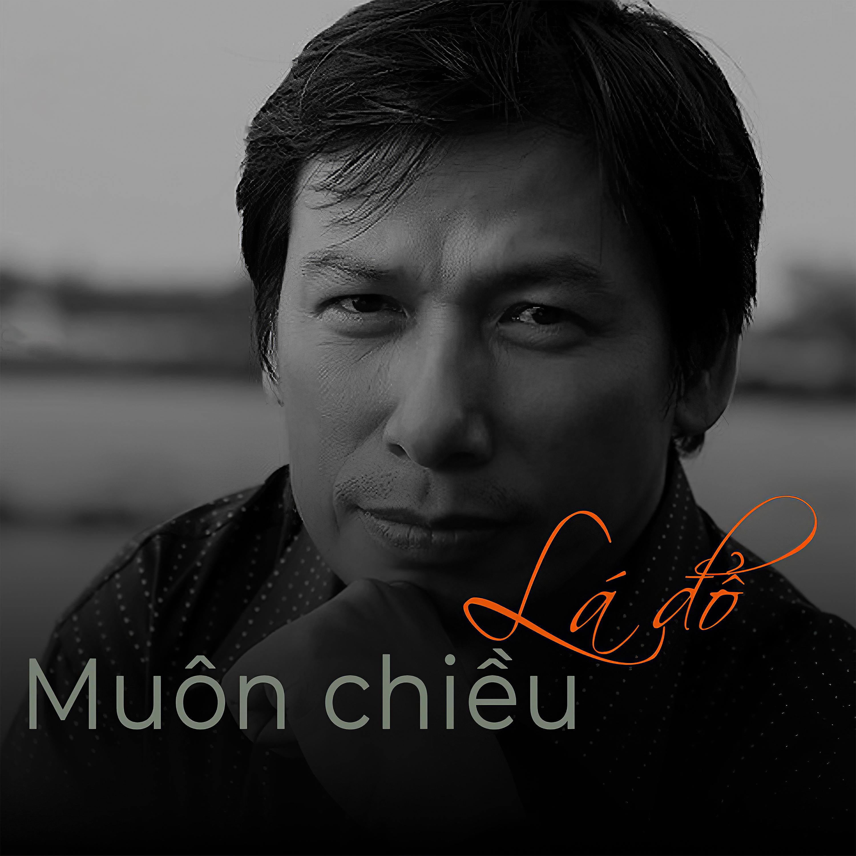 Постер альбома Lá Đổ Muôn Chiều