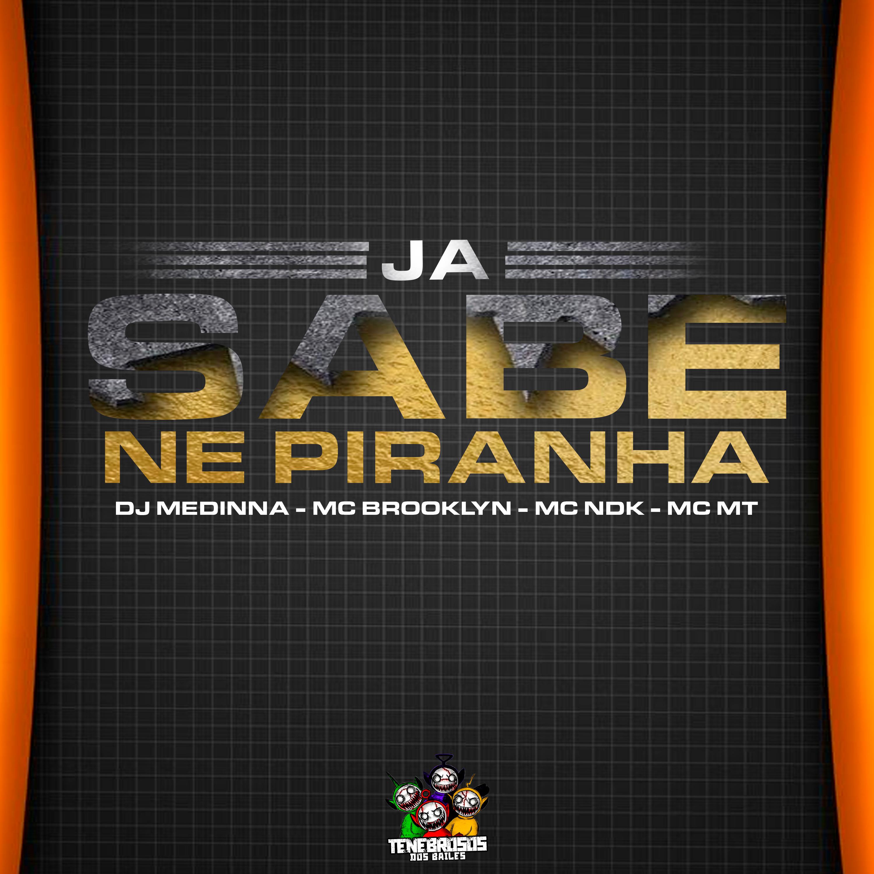 Постер альбома Ja Sabe Ne Piranha