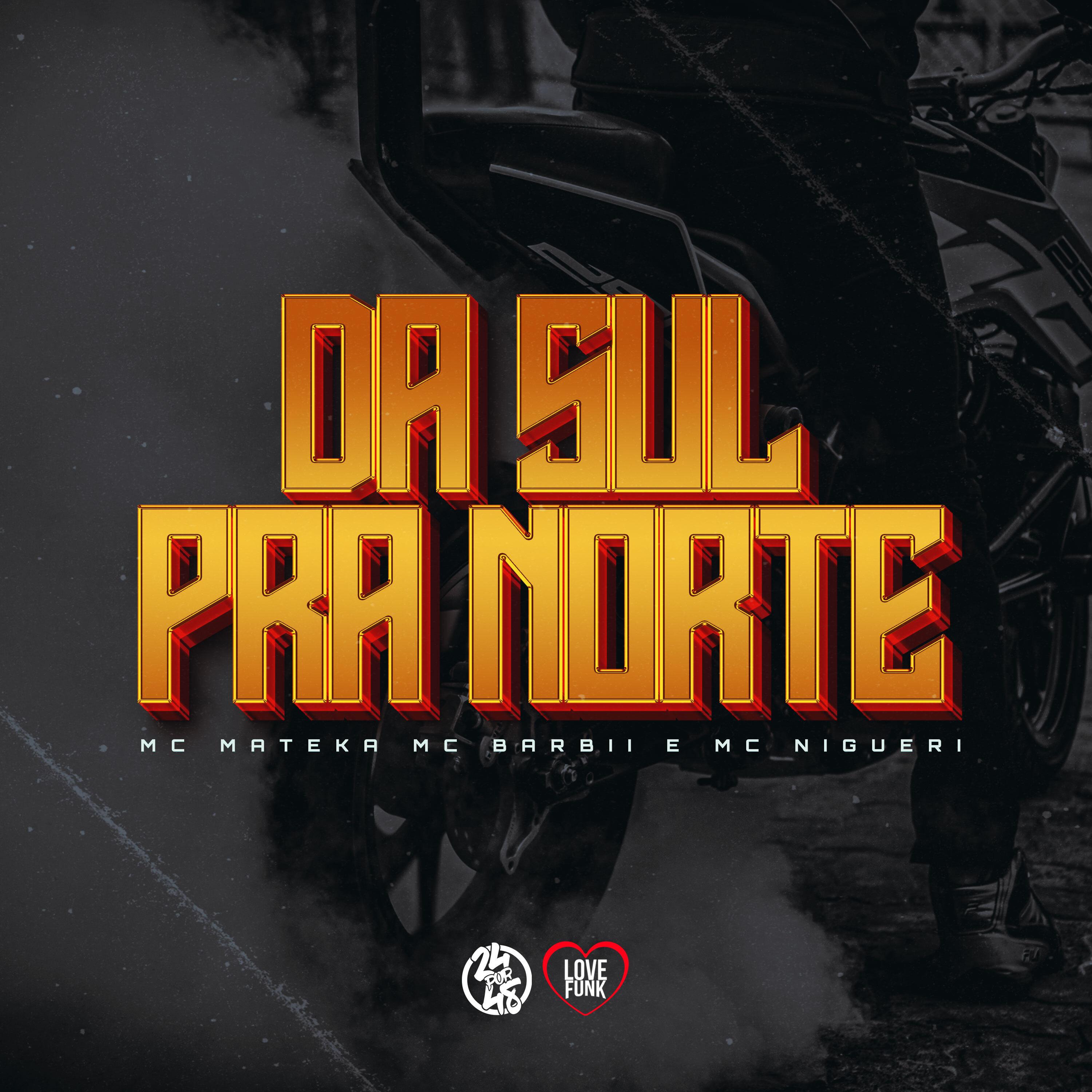 Постер альбома Da Sul pra Norte
