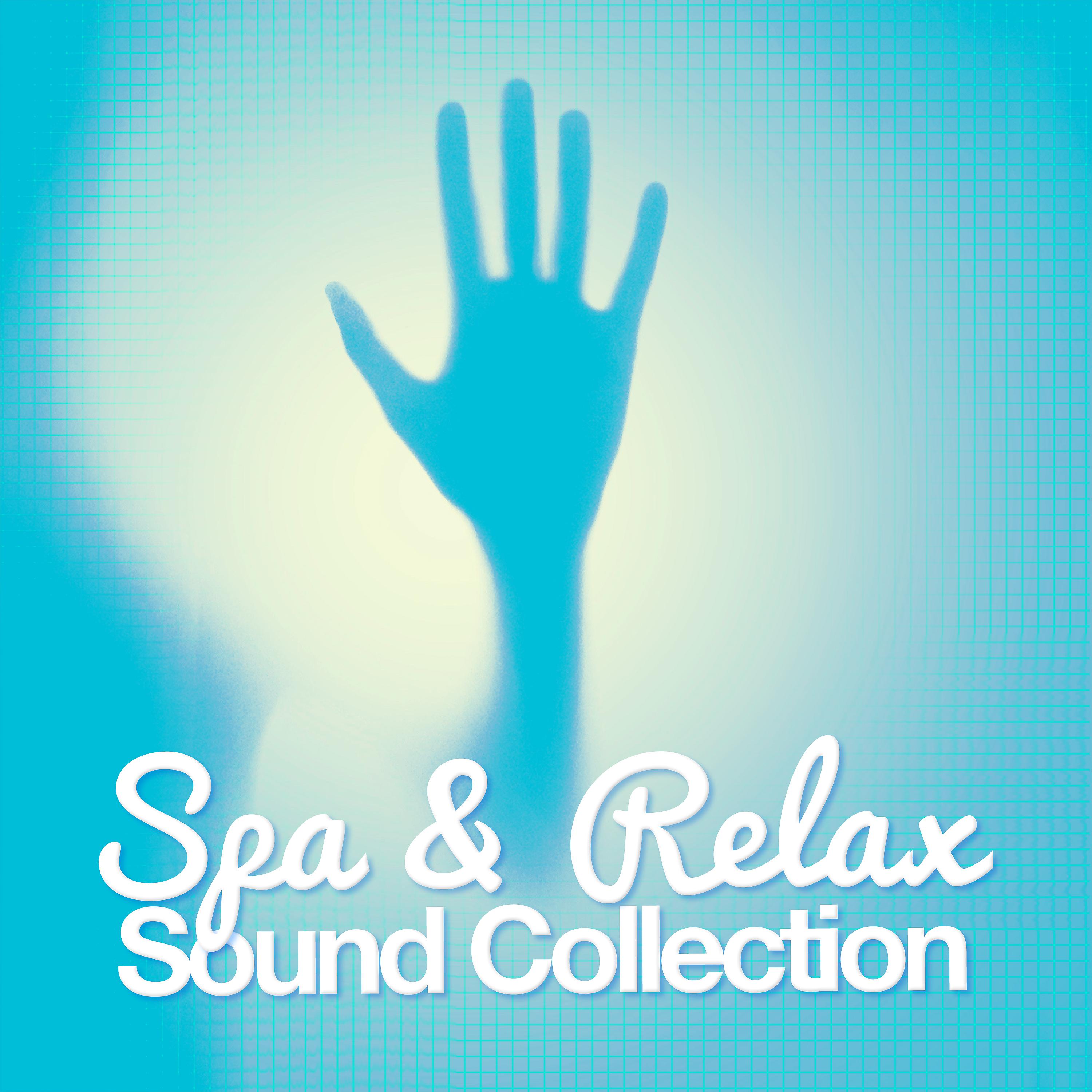Постер альбома Spa & Relax: Sound Collection