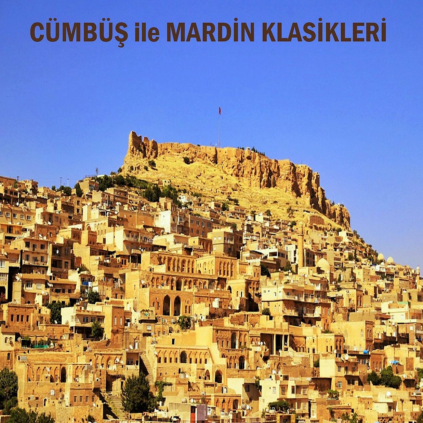 Постер альбома Cümbüş ile Mardin Klasikleri