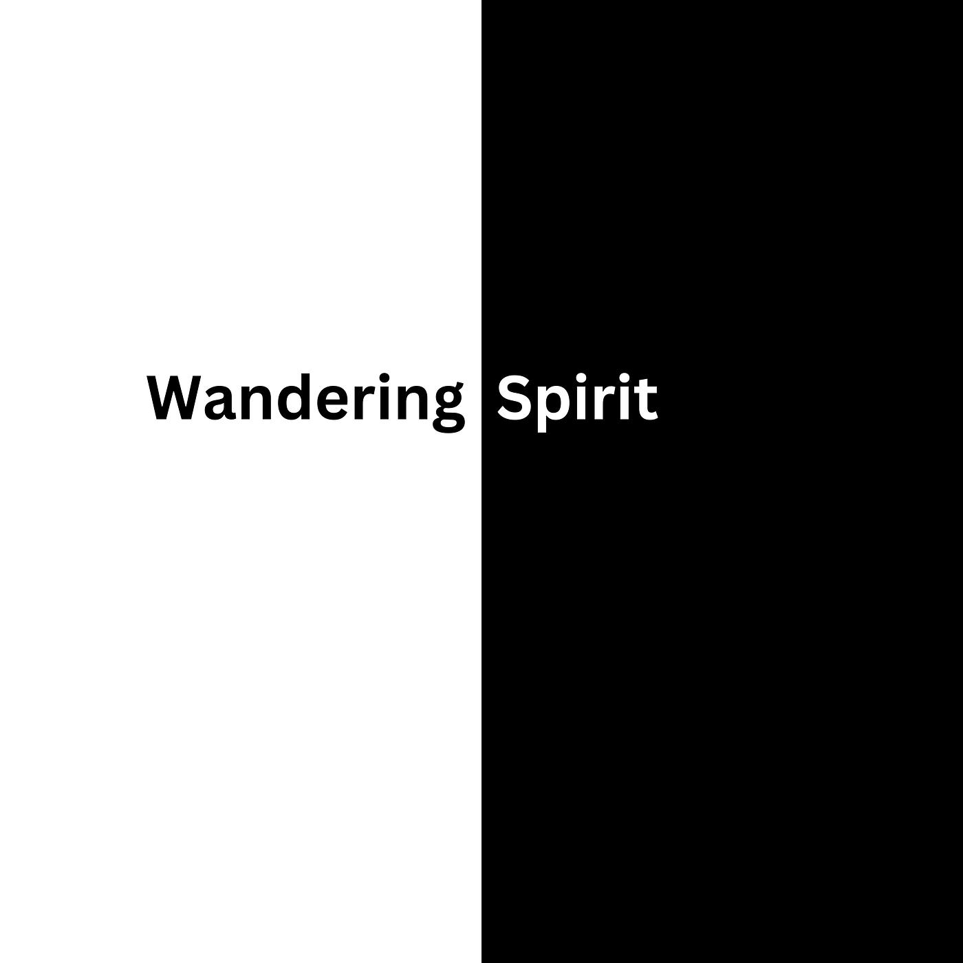 Постер альбома Wandering Spirit
