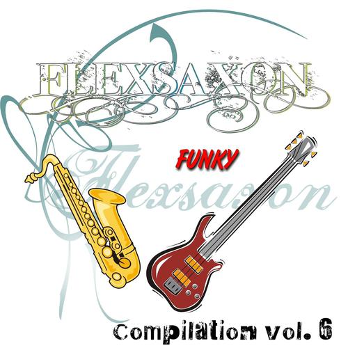 Постер альбома Flexsaxon Funky Compilation, Vol. 6