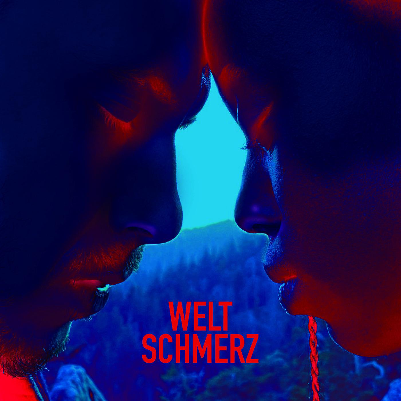 Постер альбома Weltschmerz