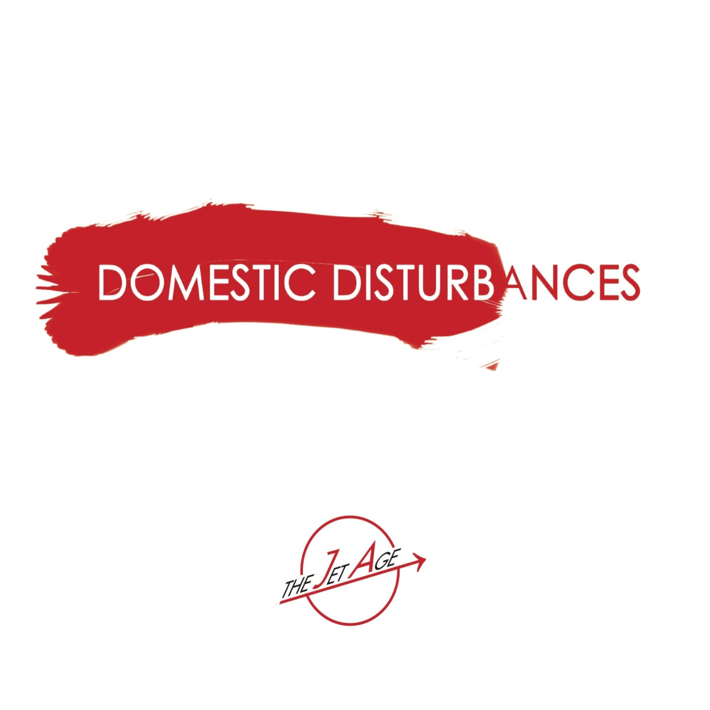 Постер альбома Domestic Disturbances