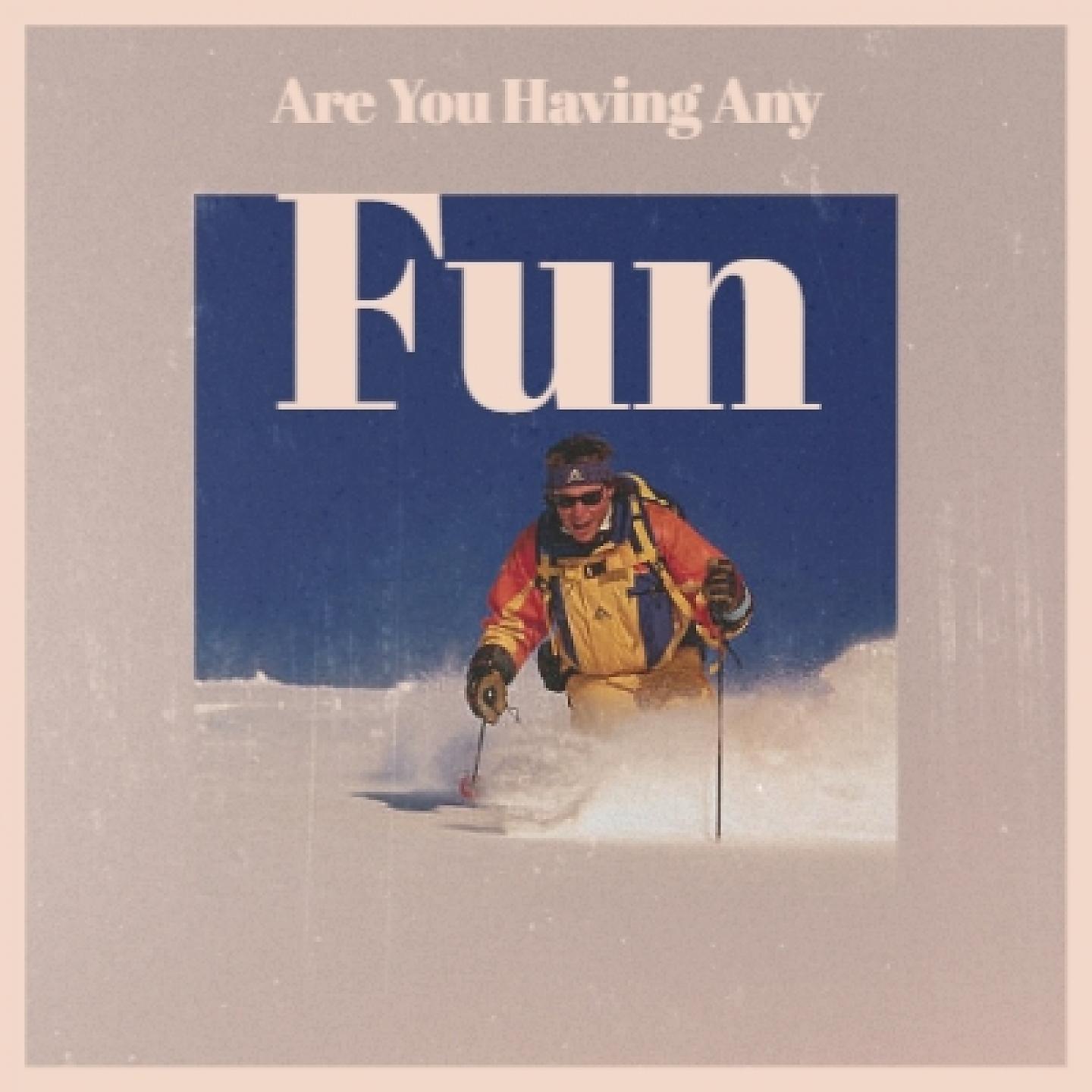 Постер альбома Are You Having Any Fun
