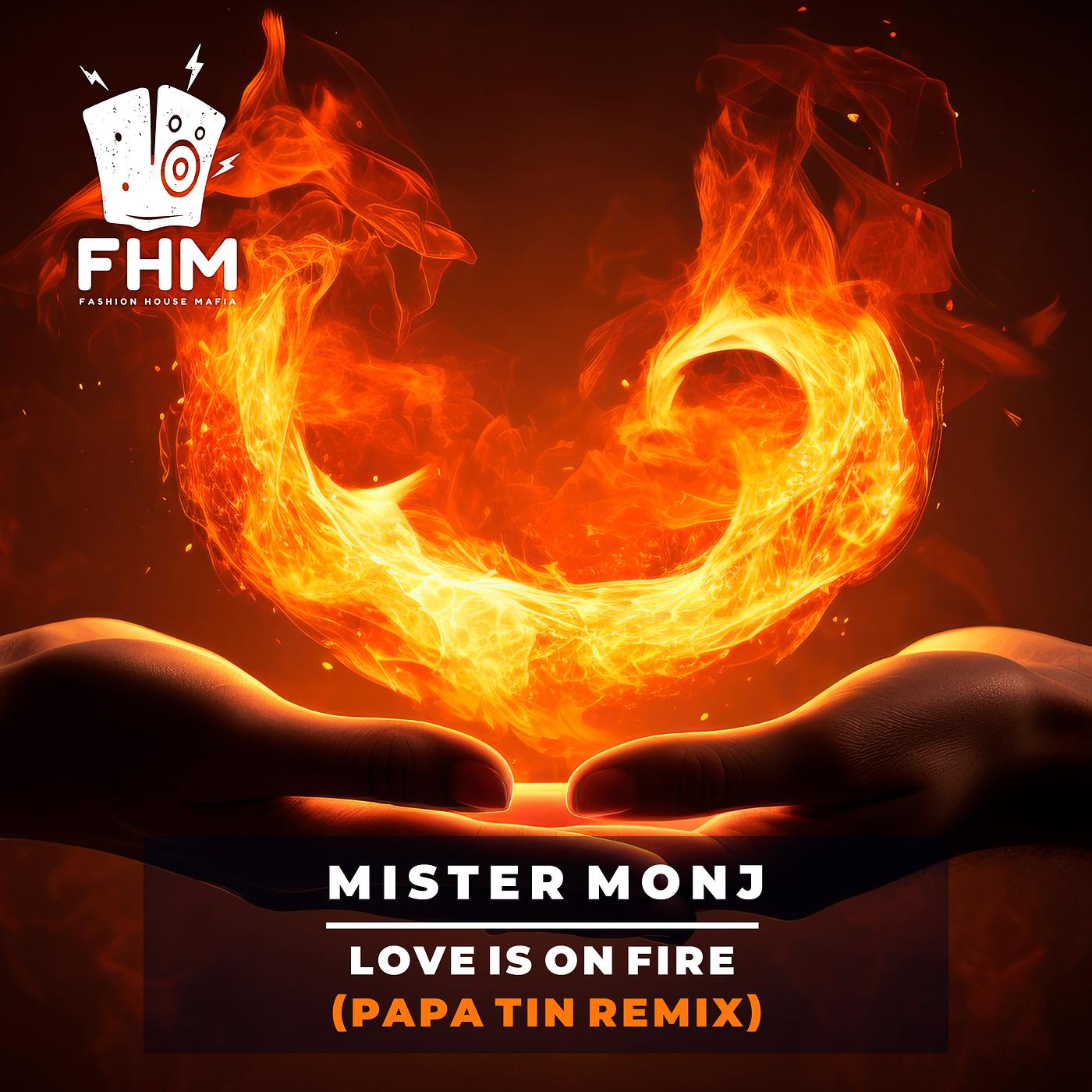 Постер альбома Love Is on Fire (Papa Tin Remix)