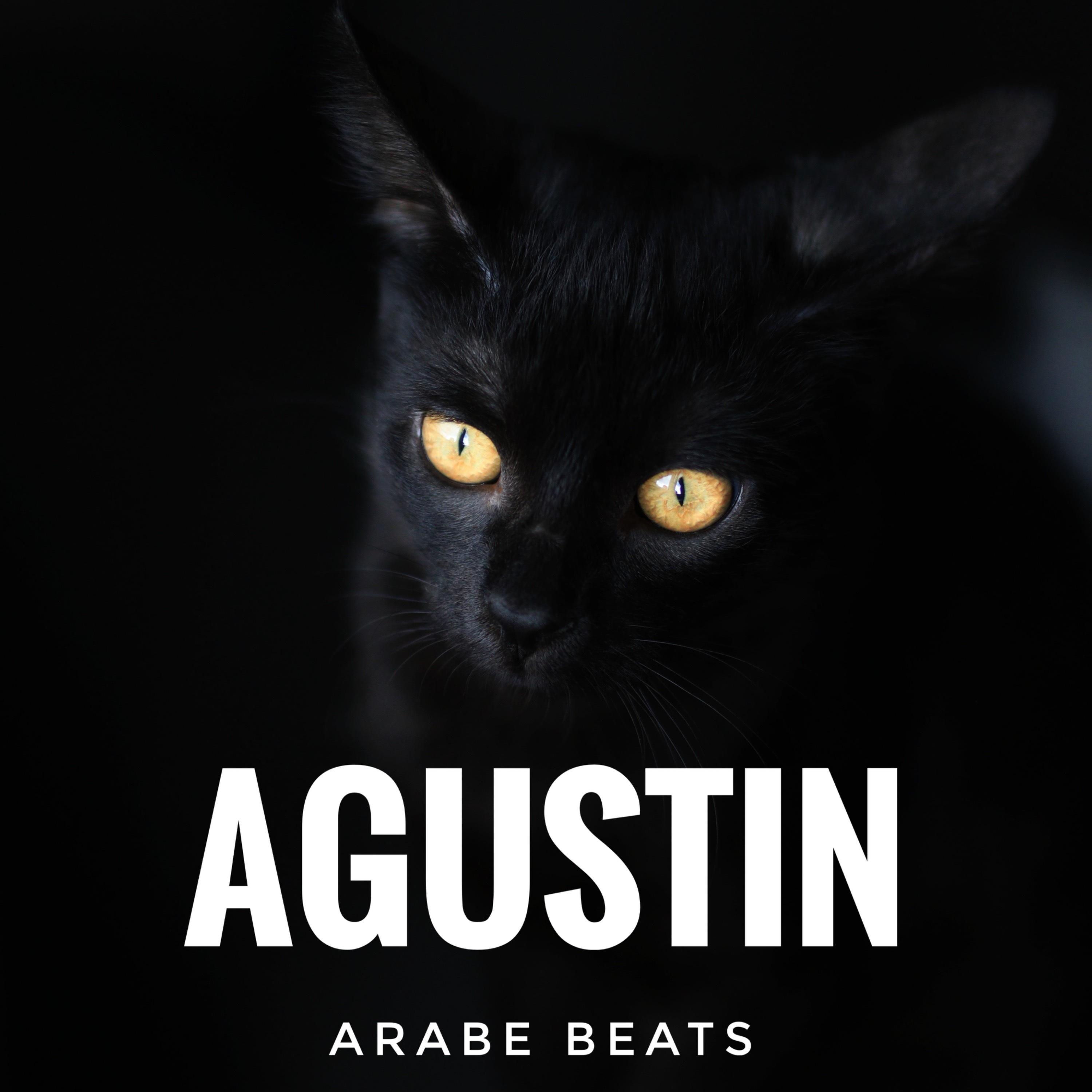 Постер альбома Agustin
