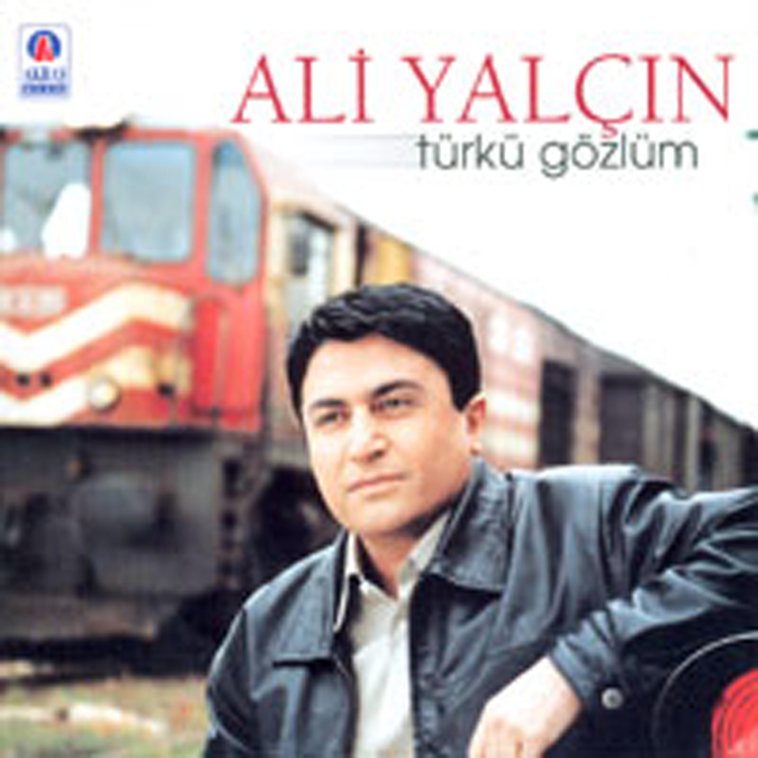 Постер альбома Türkü Gözlüm