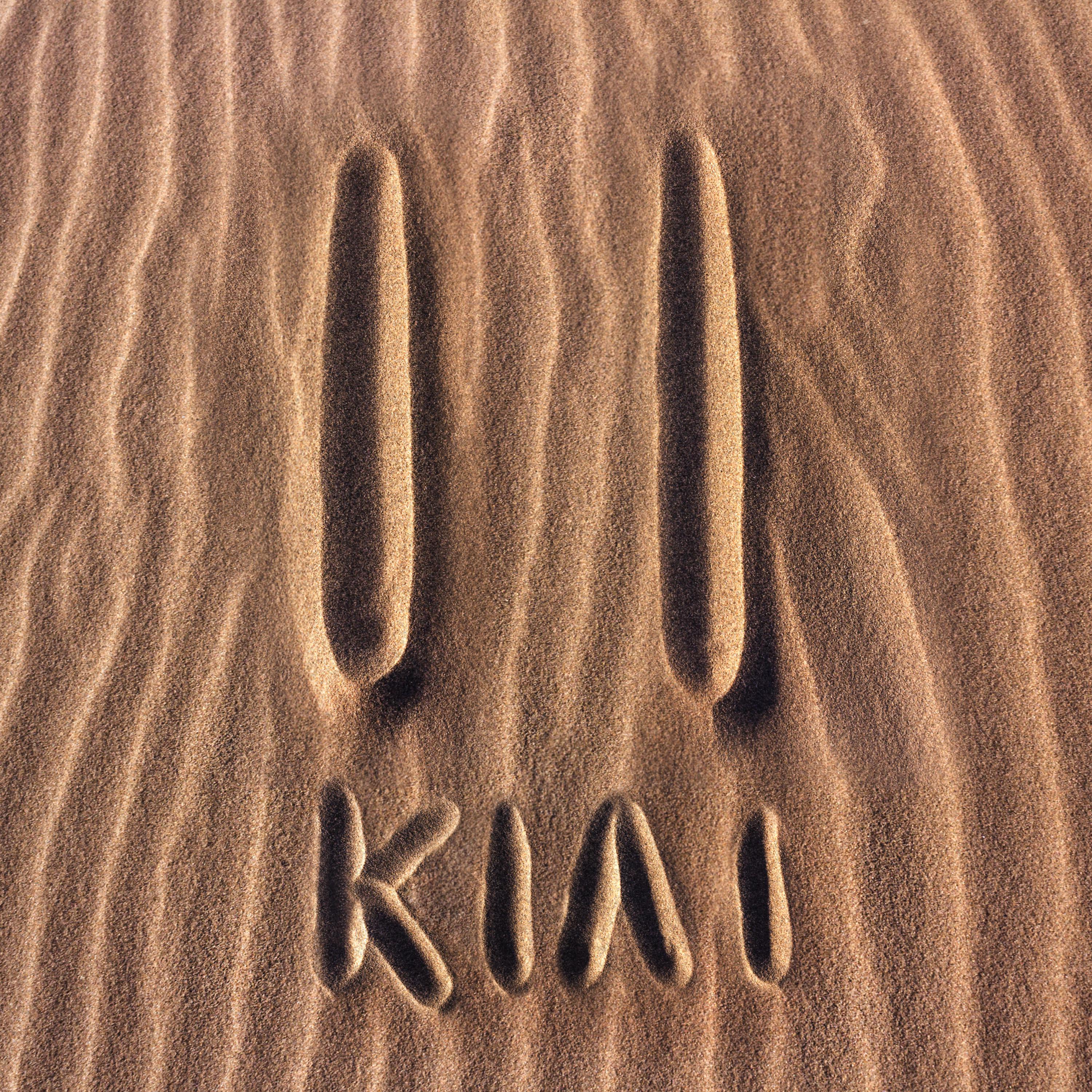 Постер альбома Kiai Ii