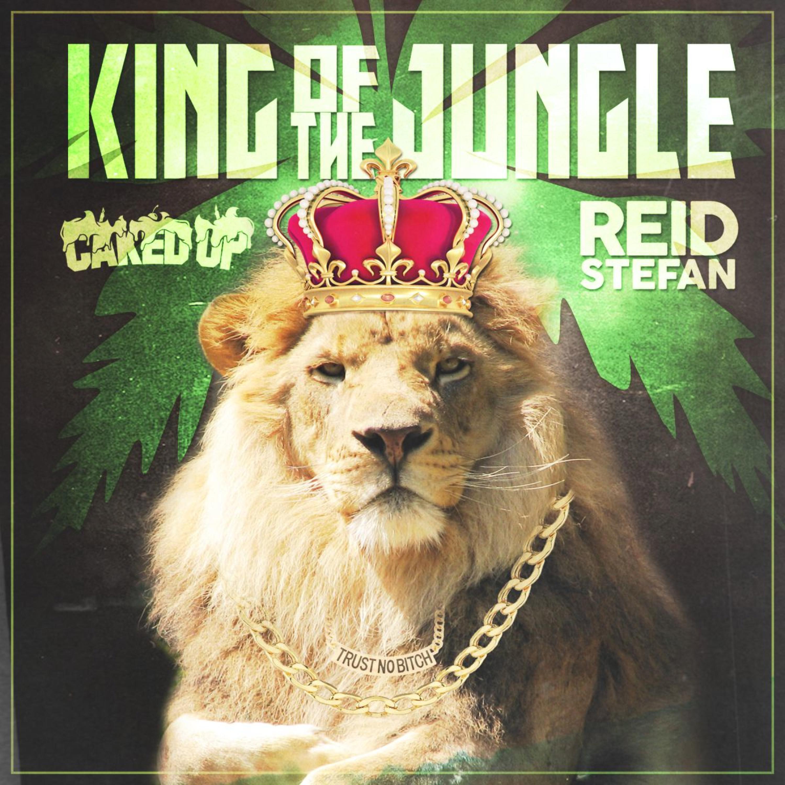 Постер альбома King of the Jungle (Club Mix)