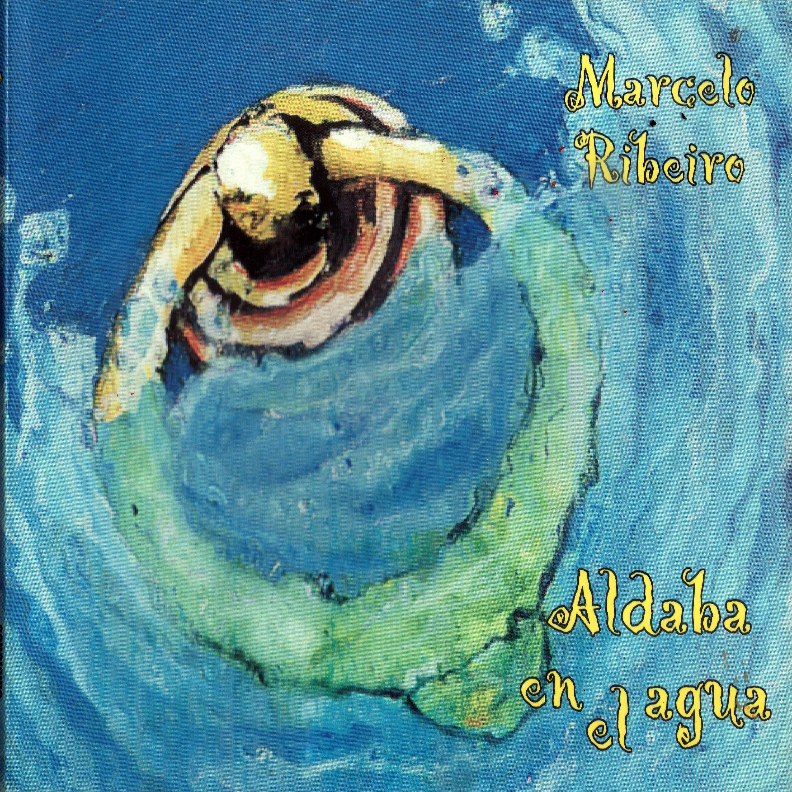 Постер альбома Aldaba en el Agua