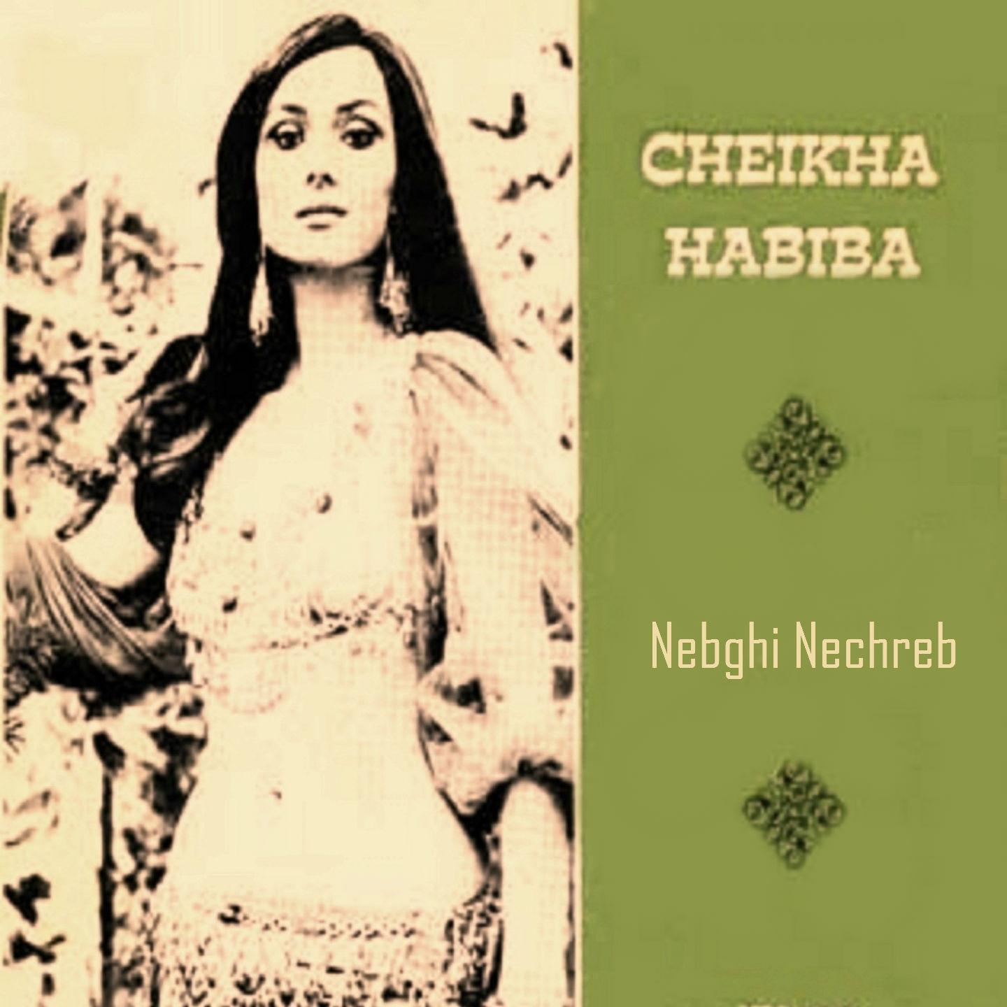 Постер альбома Nebghi Nechreb