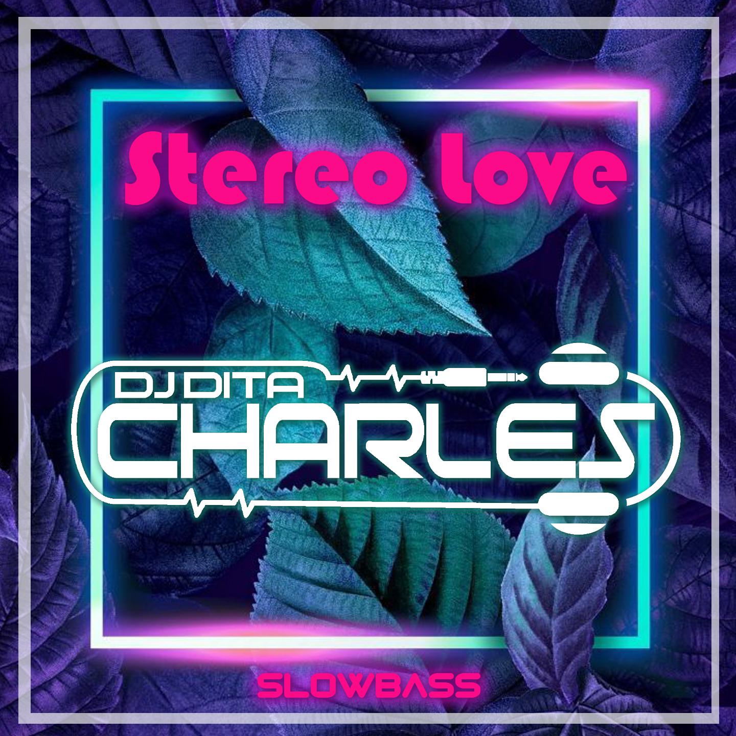 Постер альбома Stereo Love Slowbass