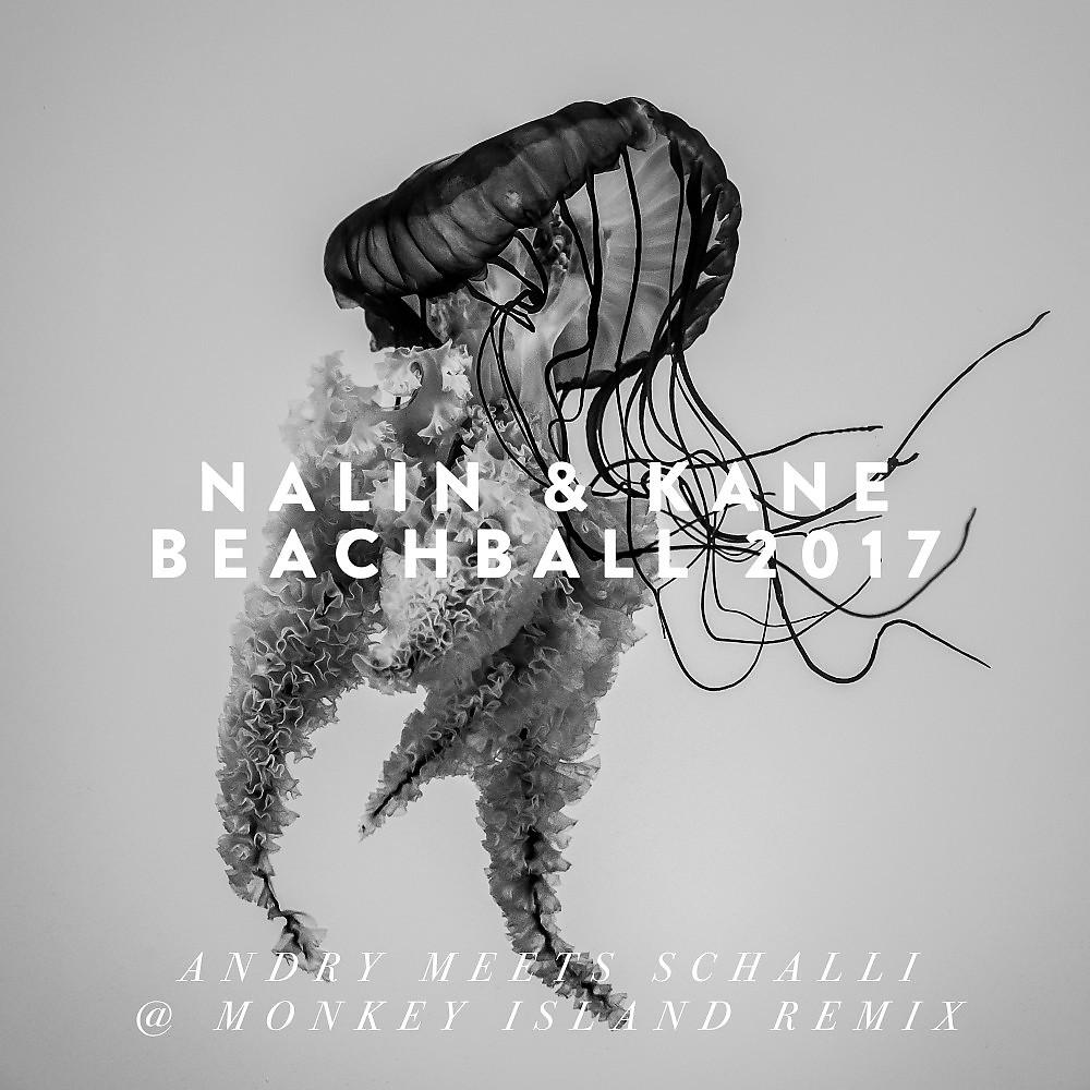 Постер альбома Beachball (Andry Meets Schalli @ Monkey Island Remix)
