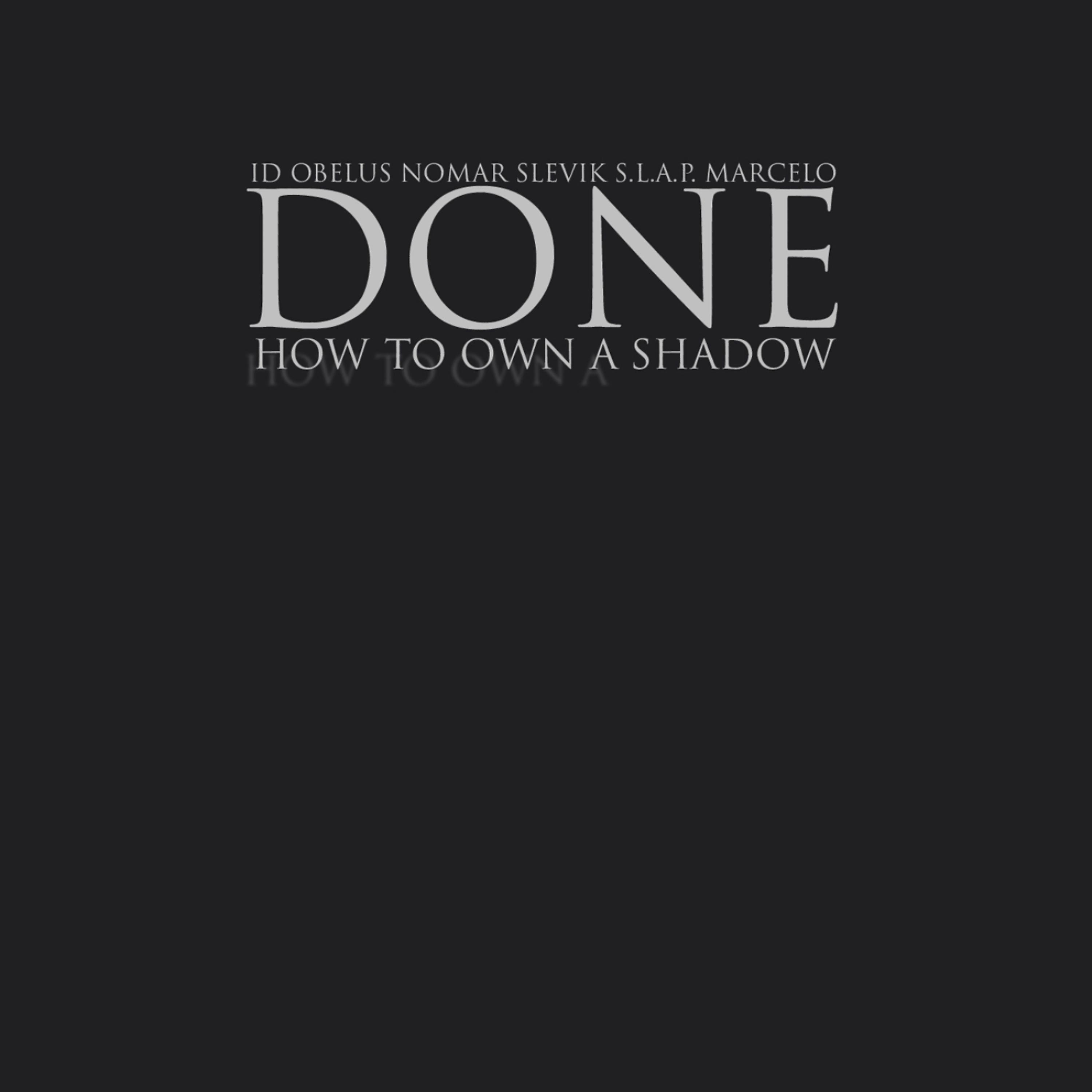 Постер альбома How to Own a Shadow