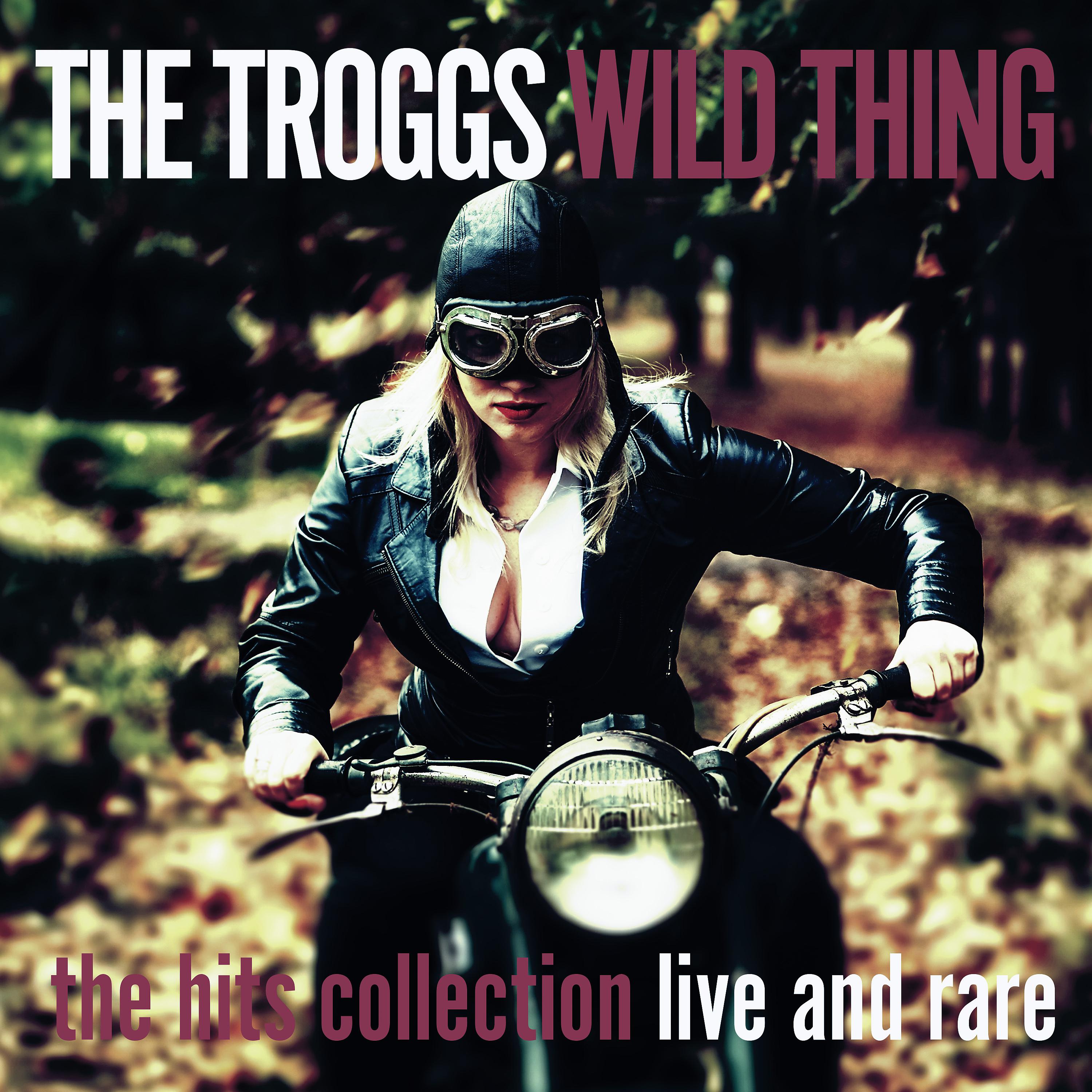 Постер альбома Wild Thing - the Hits Collection - Live and Rare