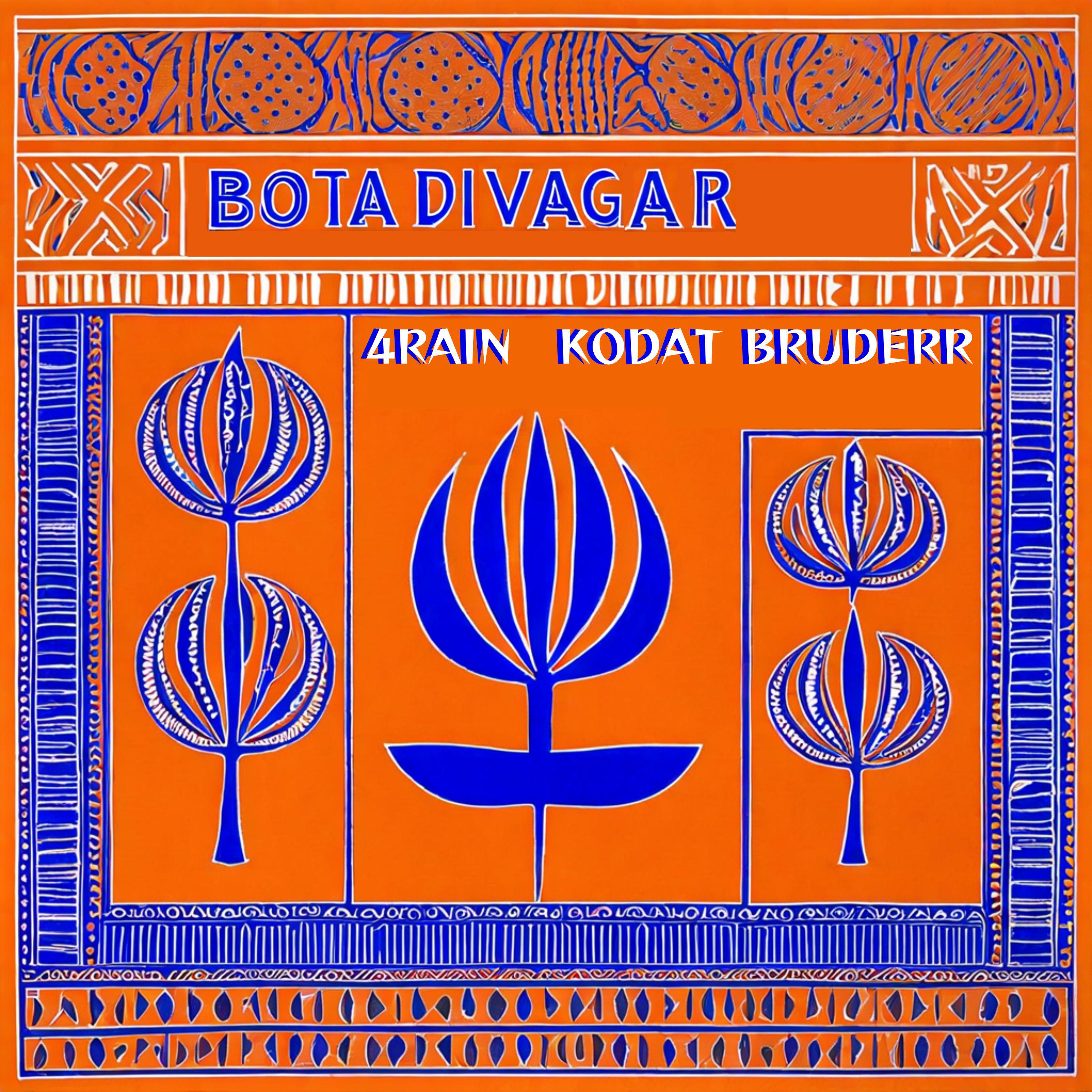 Постер альбома Bota Divagar