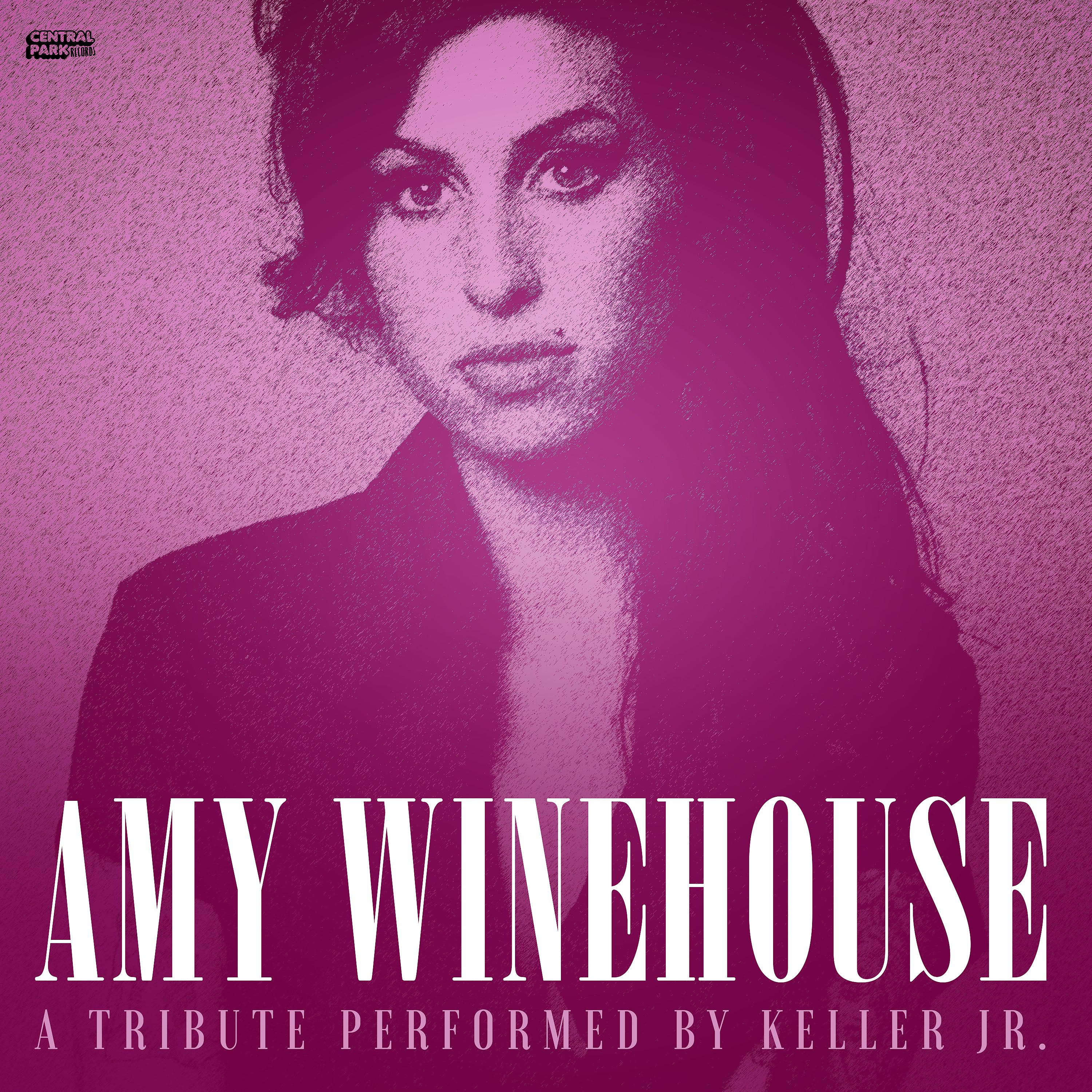 Постер альбома Amy Winehouse Tribute - Back to Black / Rehab
