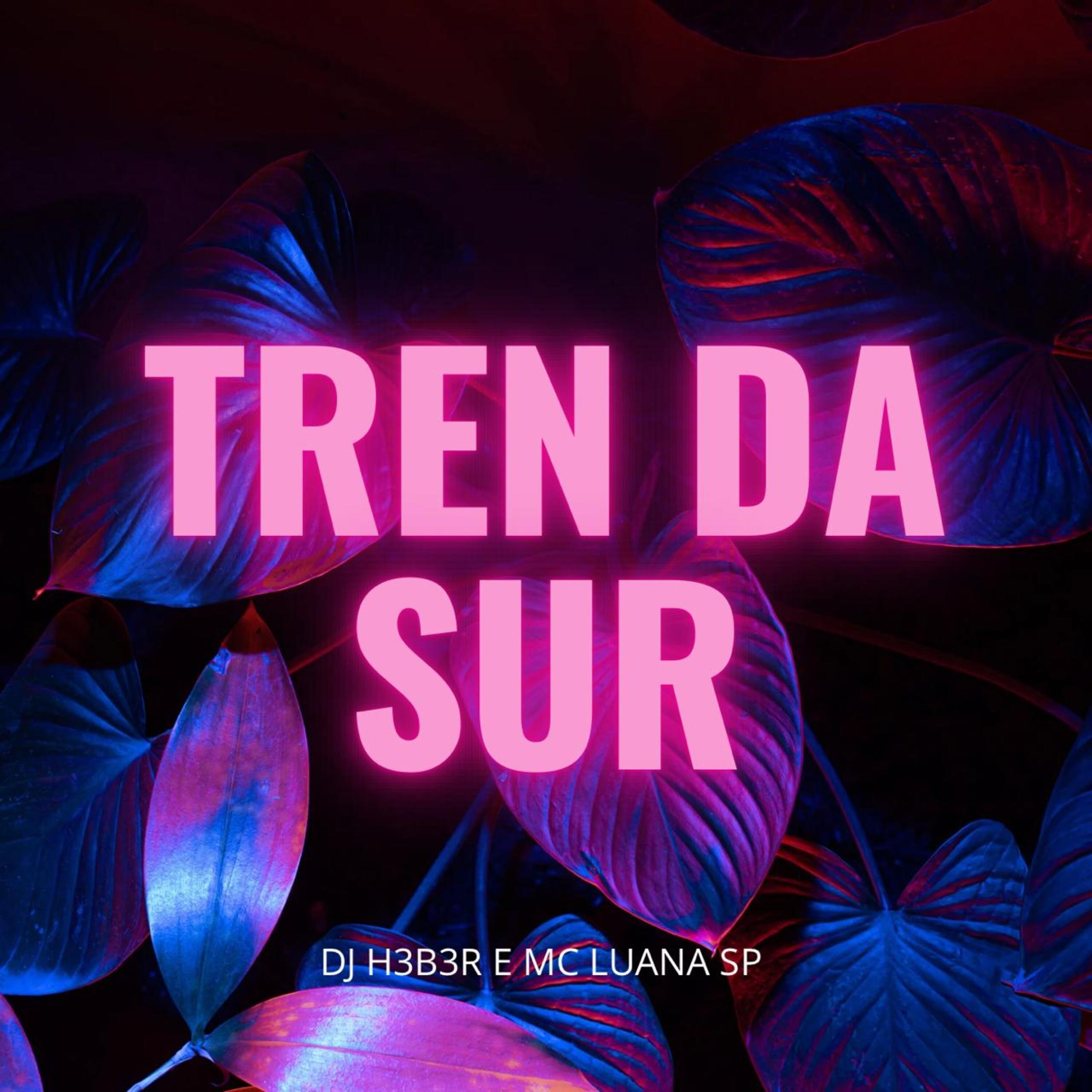 Постер альбома Tren da Sur