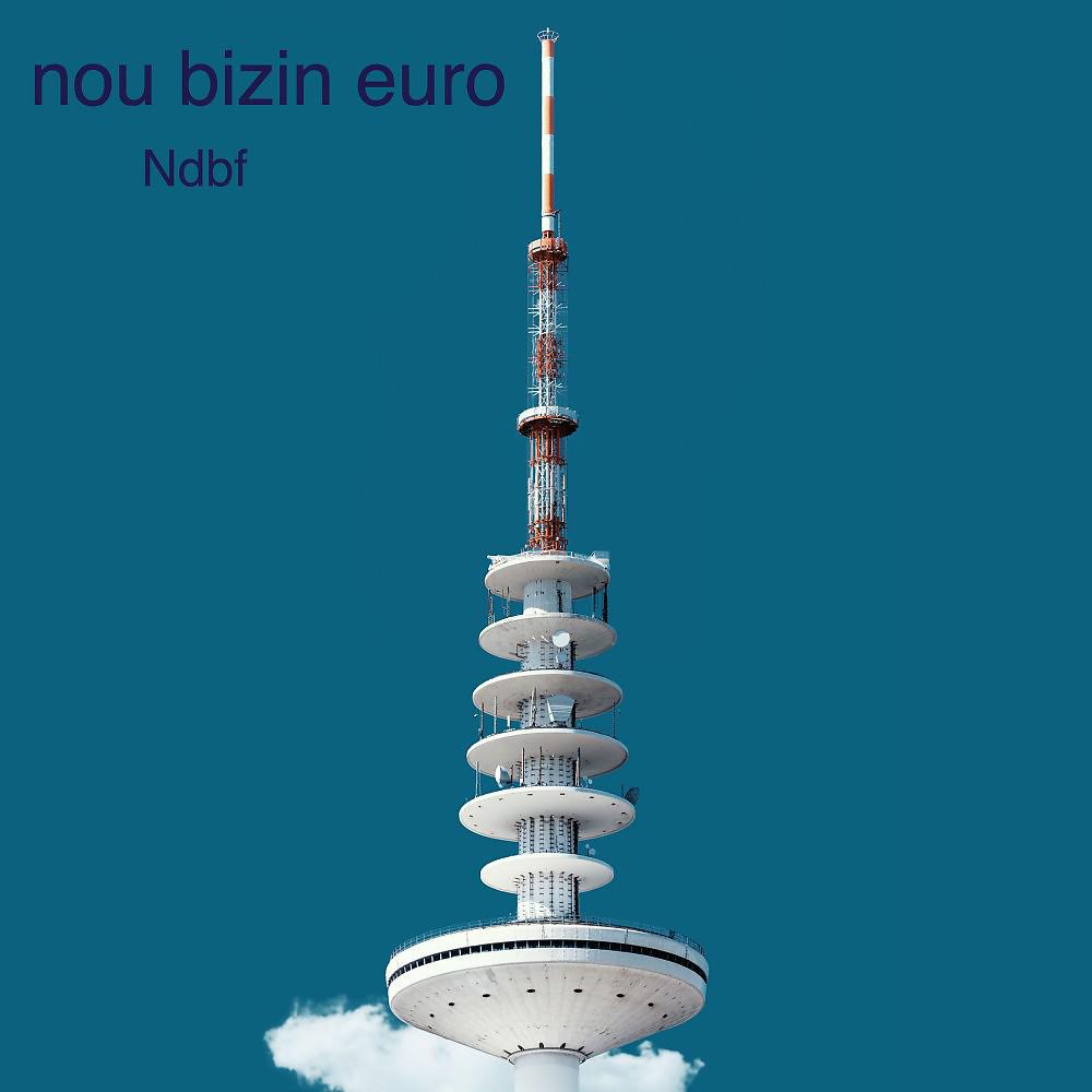 Постер альбома Nou bizin euro