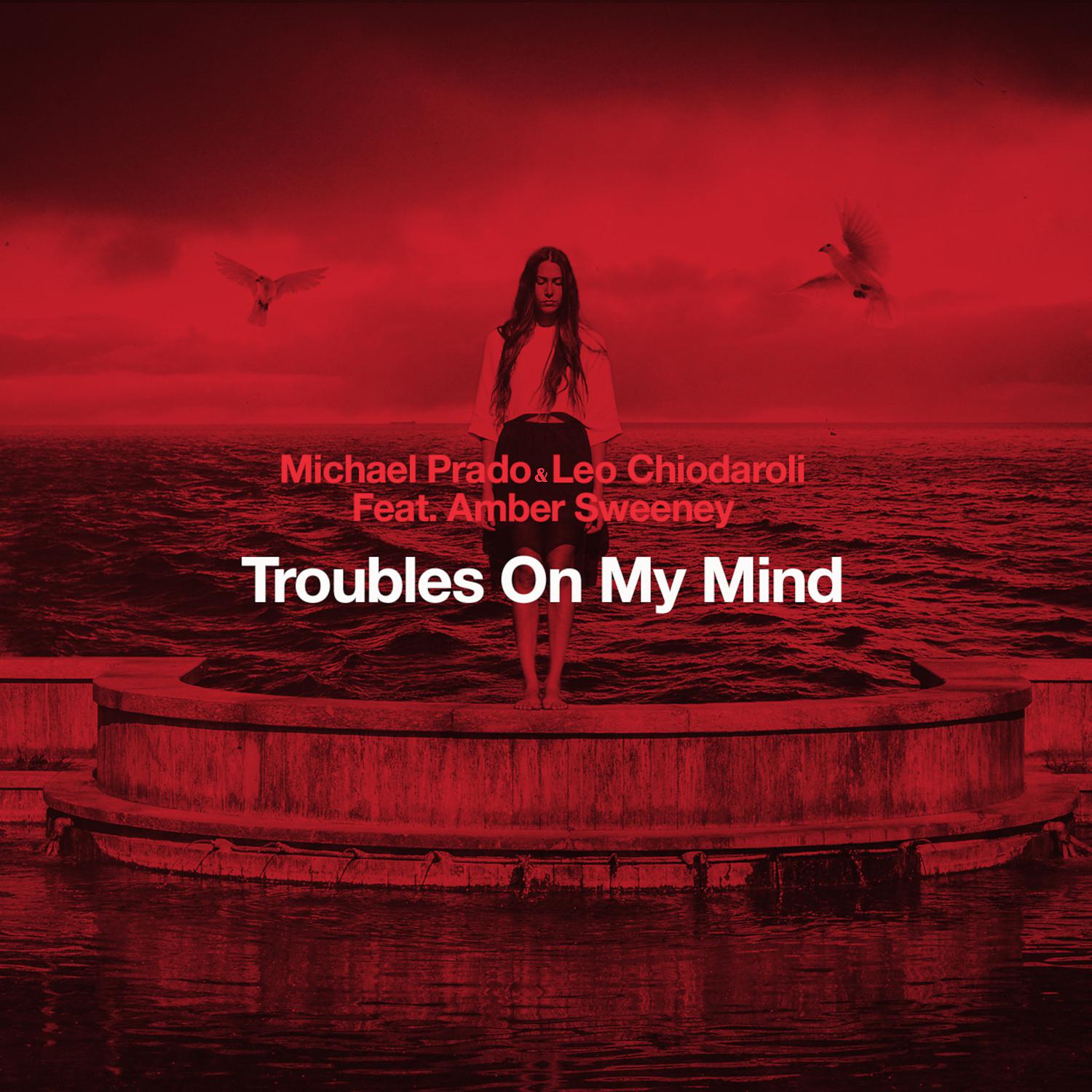 Постер альбома Troubles On My Mind (feat. Amber Sweeney)