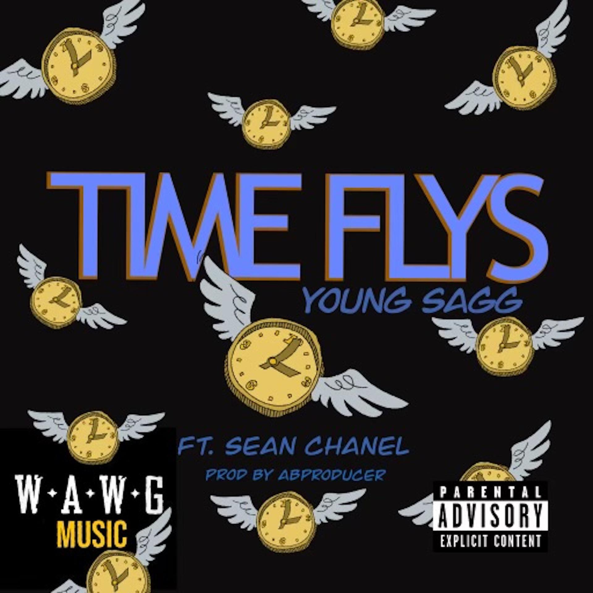 Постер альбома Time Flys (feat. Sean Chanel)