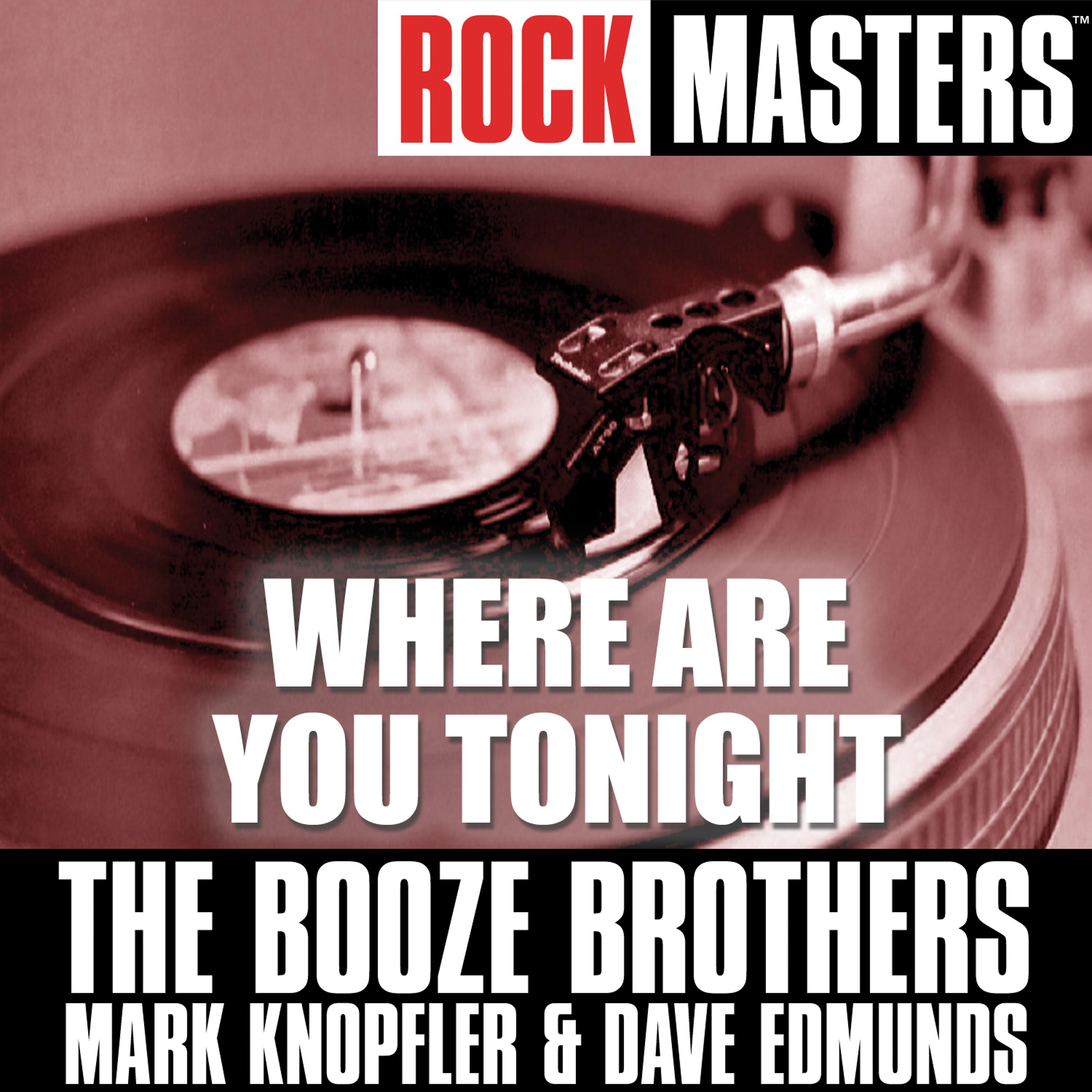 Постер альбома Rock Masters: Where Are You Tonight