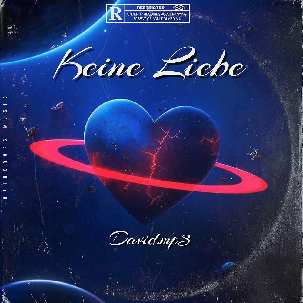 Постер альбома Keine Liebe