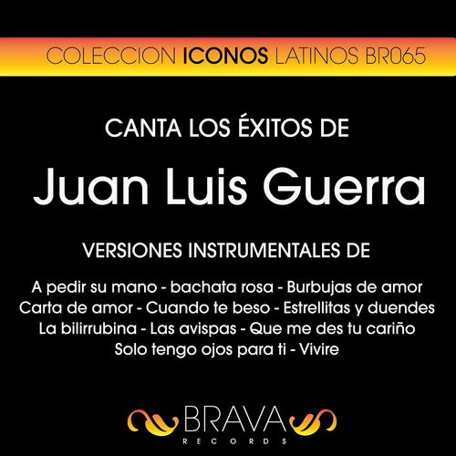 Постер альбома Canta los Exitos de Juan Luis Guerra