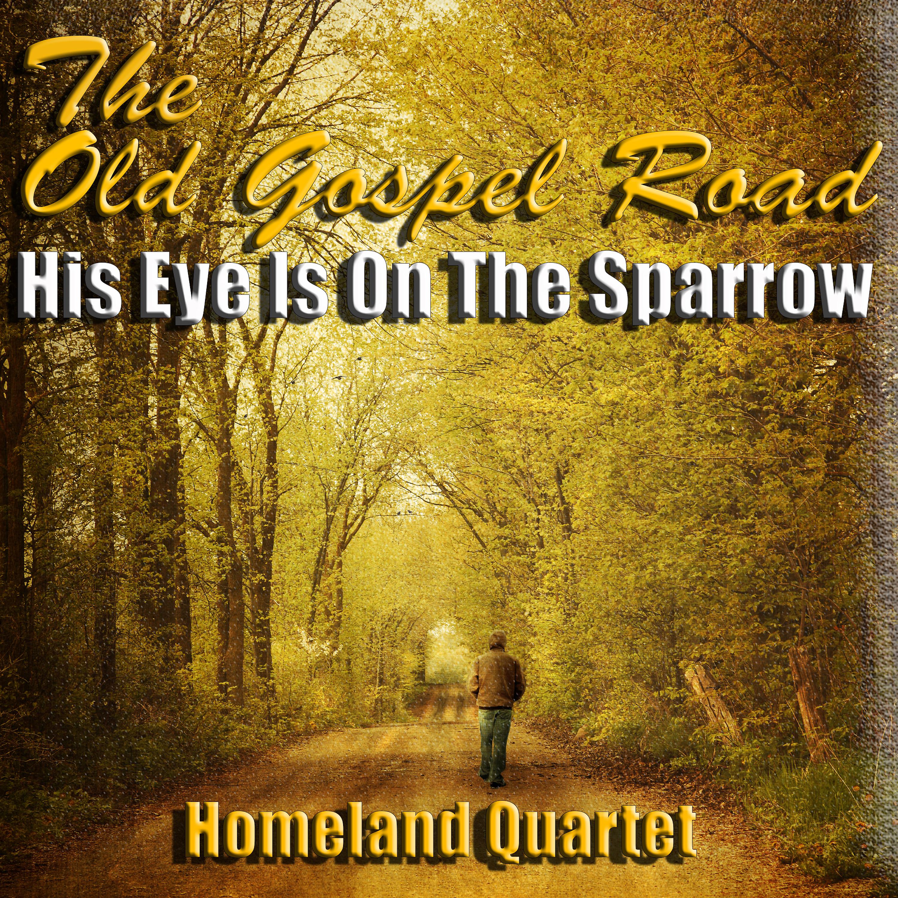 Постер альбома The Old Gospel Road - His Eye Is on the Sparrow