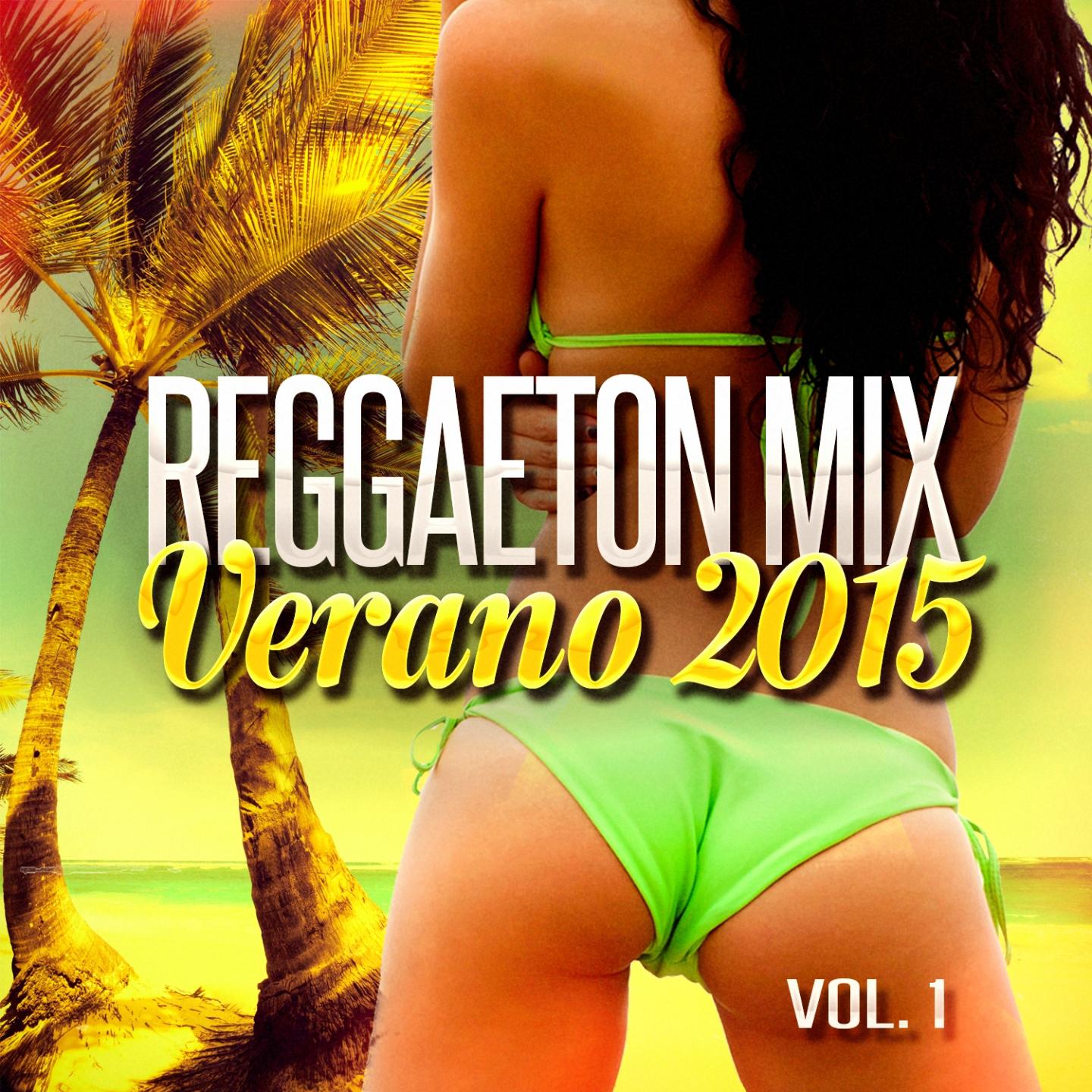 Постер альбома Reggaeton Mix Verano 2015