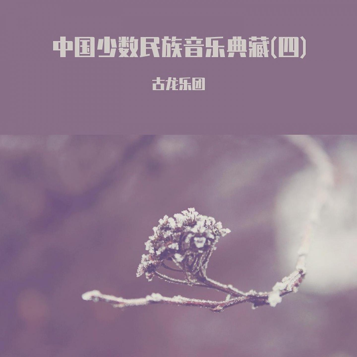 Постер альбома 中国少数民族音乐典藏(四)